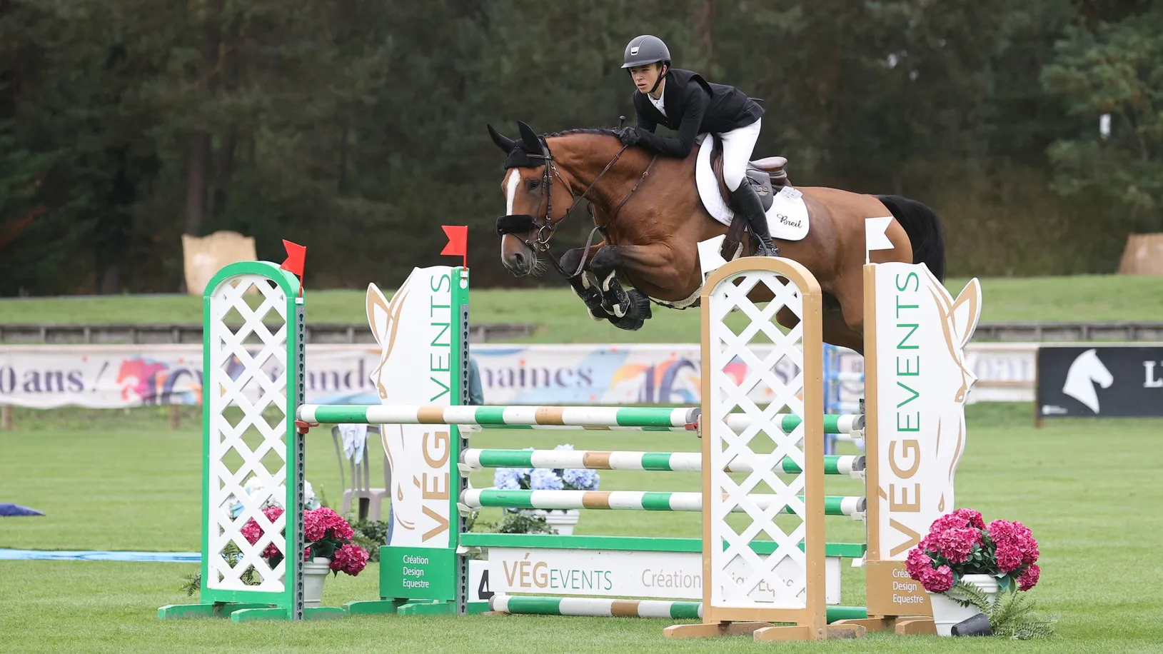 Pour s’imposer, Antoine Domergue et La Libellule ont naturellement réussi deux sans-faute, dont un sur le prestigieux Terrain d’Honneur bellifontain.