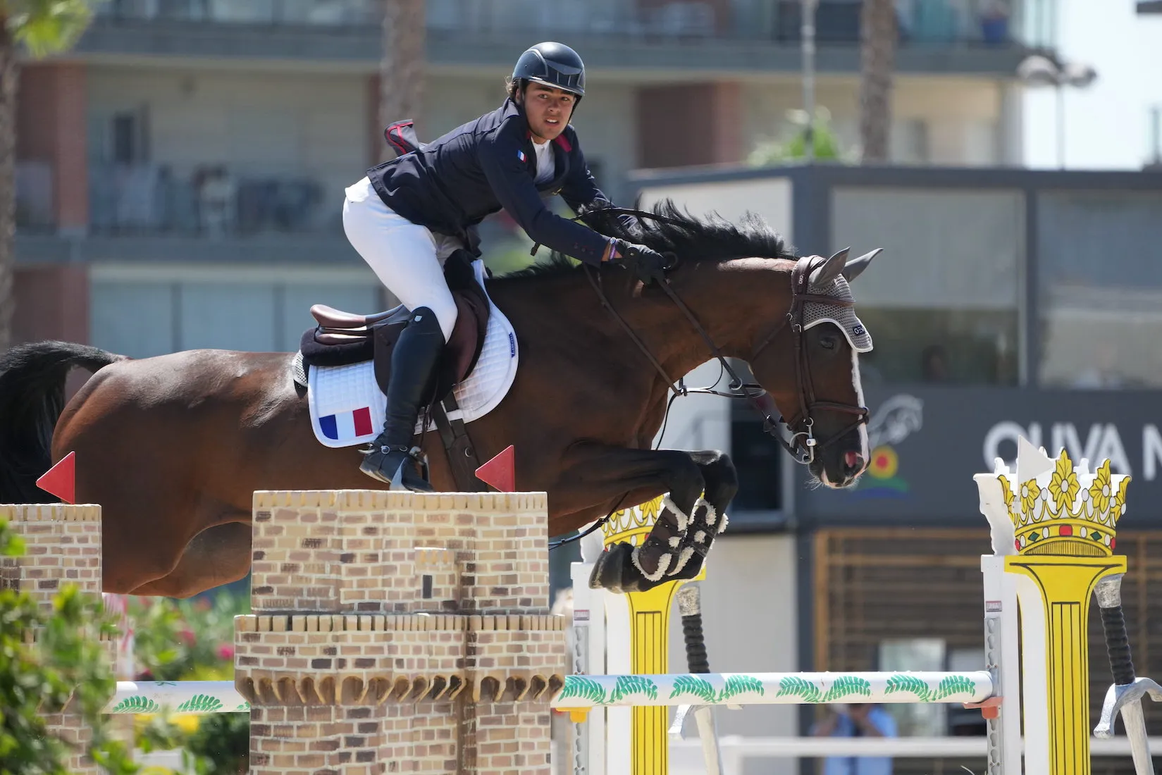 Jules Orsolini et Charlotte 198 dans les championnat d'Europe Jeunes cavaliers par équipes