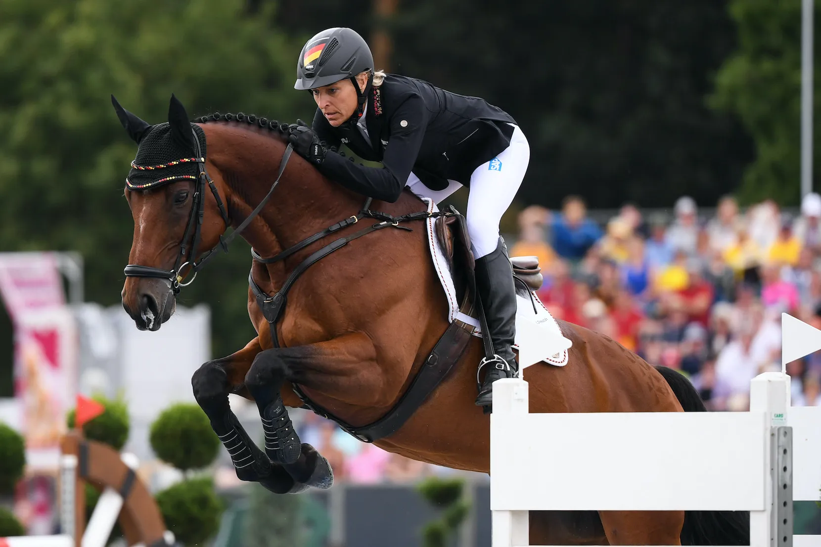 Championnat d'Europe Longines de Luhmühlen