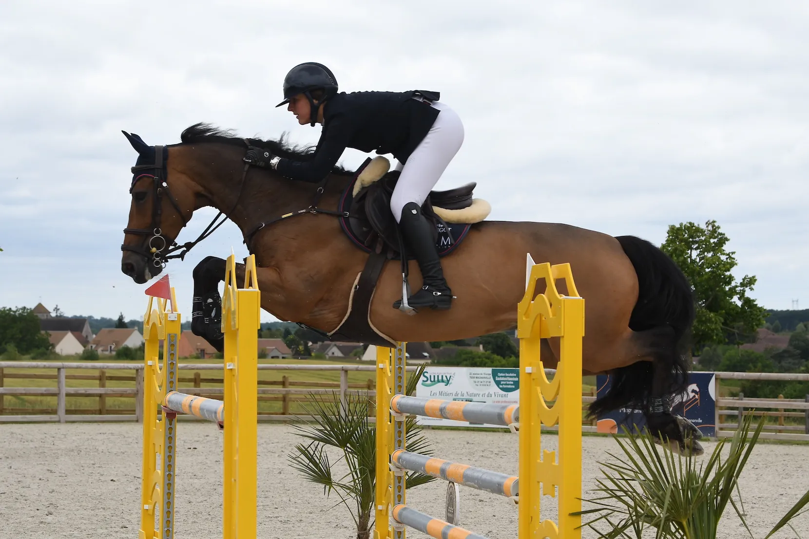 Rose de Balanda et Hurbie à Magnanville en juin 2022