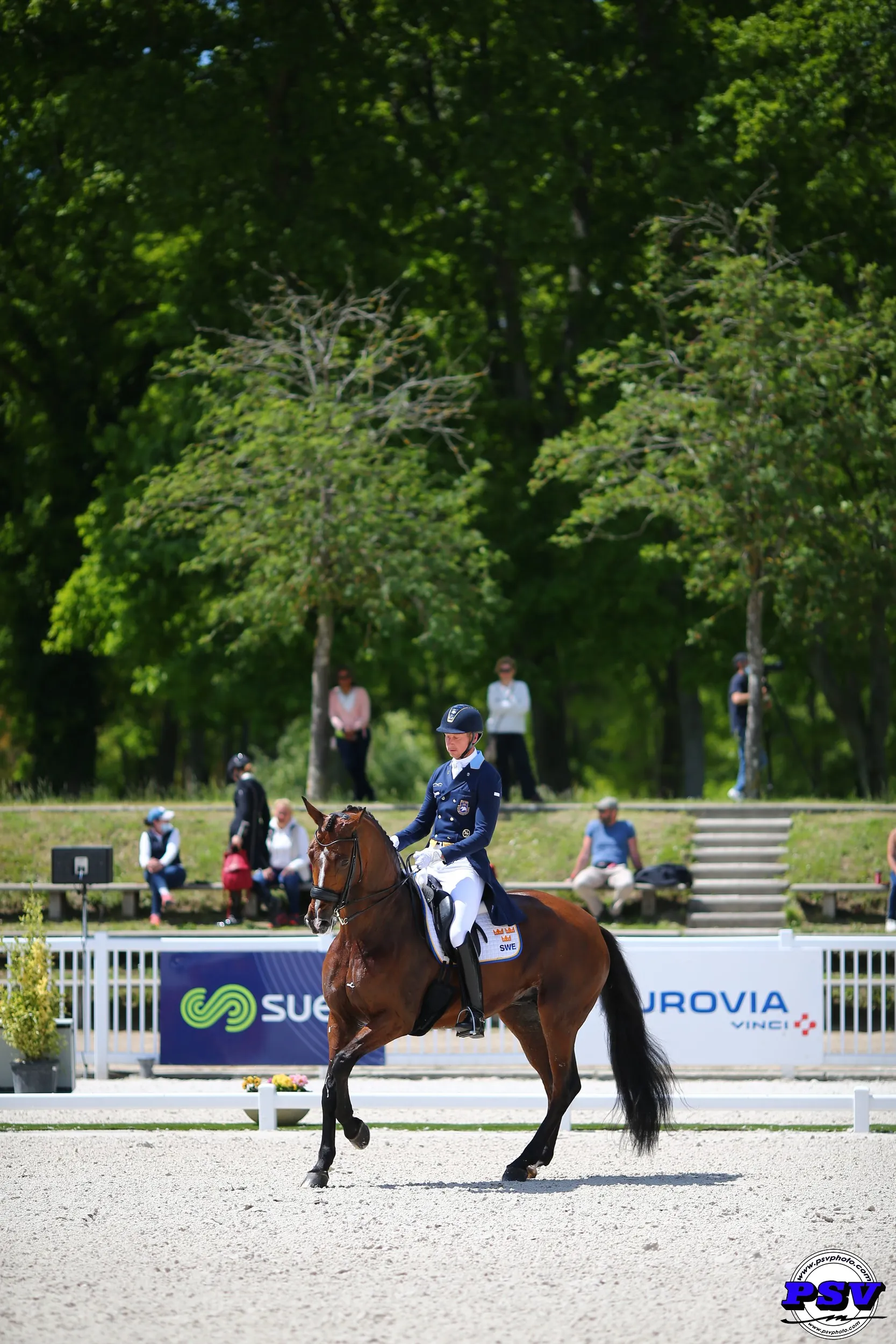 Les Internationaux de Dressage