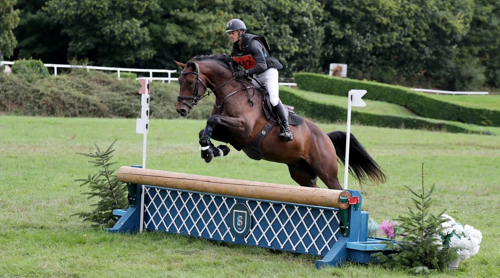 Troisième du championnat avec Rémi Torres, Look du Terral est issu de la célébrissime souche de l’Anglo-Arabe Ifrane, qui a notamment donné les champions Birmane et Dartagnan de Béliard, valorisés par Thomas Carlile.