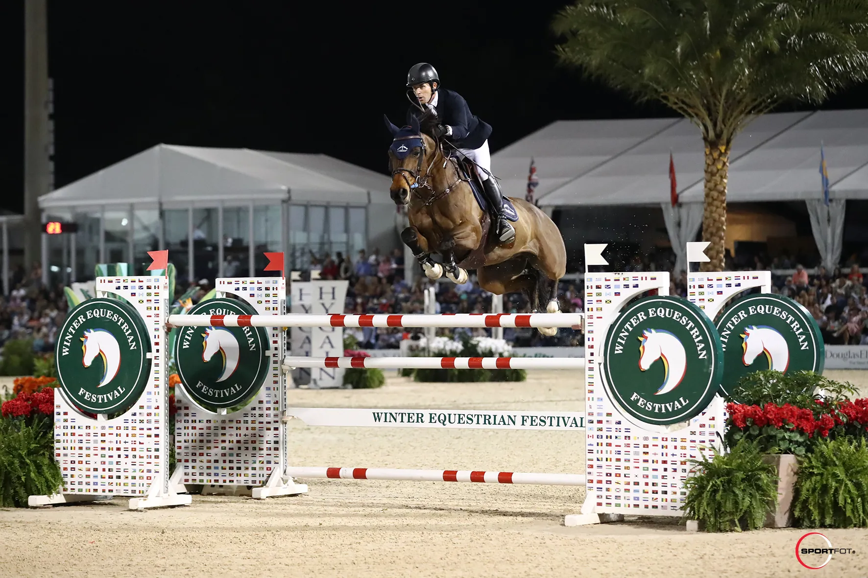 Conor Swail et Count Me In ne sont pas passés loin d'une nouvelle victoire.