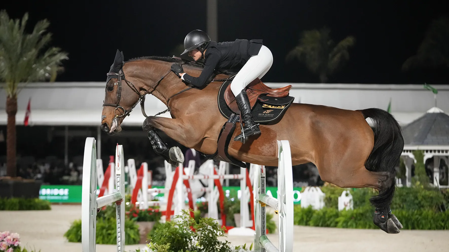 Nina Mallevaey et Dynastie de Beaufour restent sur une série de onze sans-faute en épreuves à 1,60m de niveau 5*.