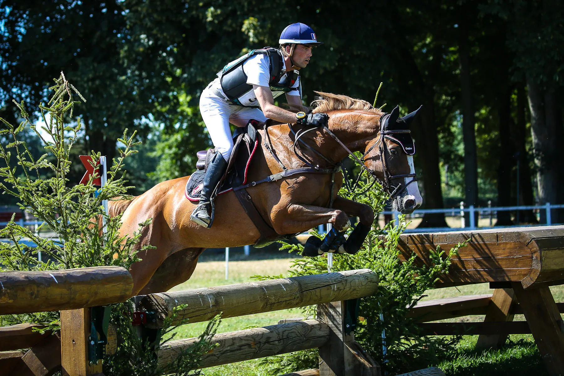 Syndiquée entre plusieurs amis passionnés de complet, Fly Up de Banuel représente l'un des espoirs de Mathieu Lemoine pour le futur. 