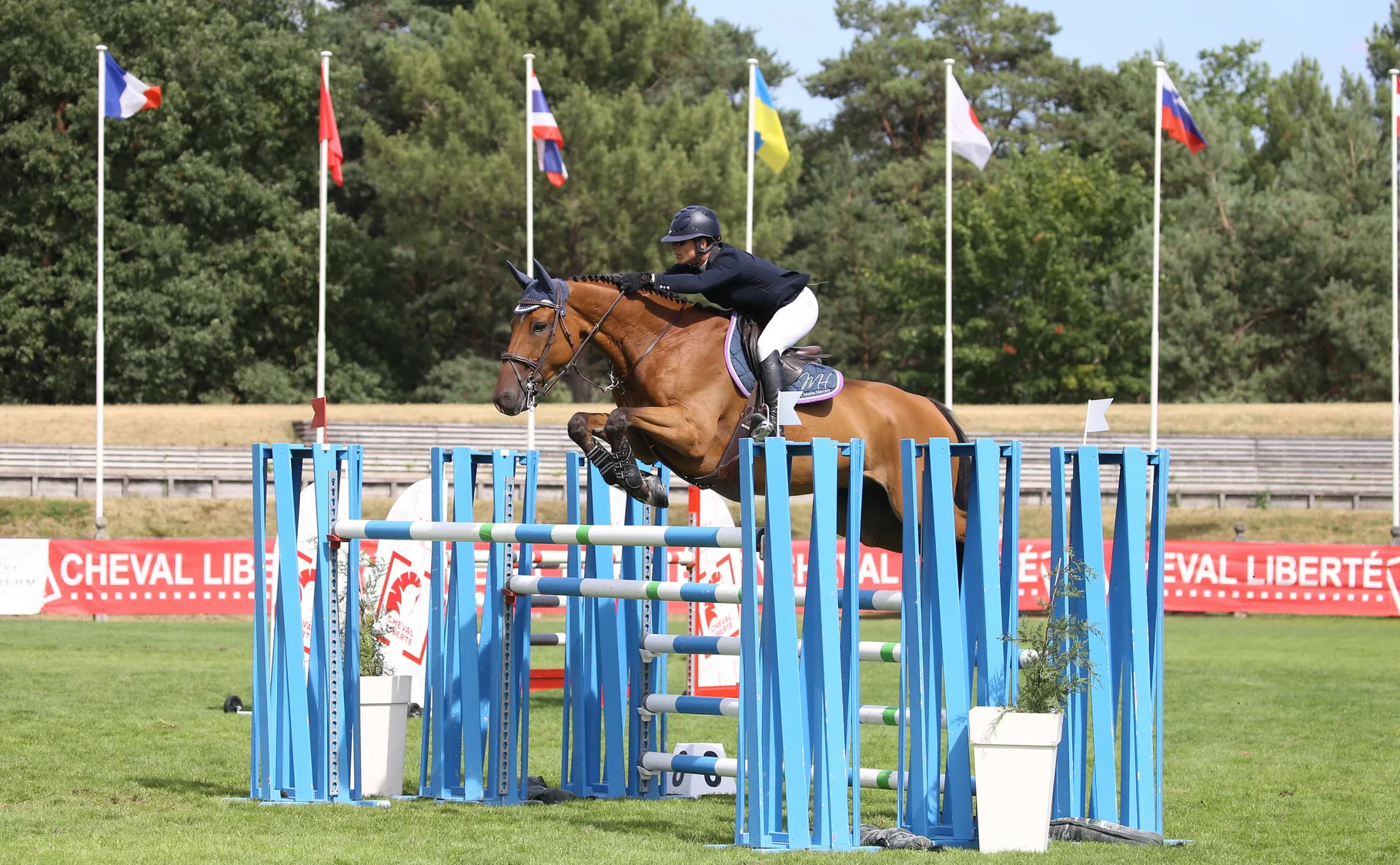 Marie Hécart est ici à Fontainebleau avec Alpha de Ternaire, avec lequel elle espère retrouver le haut niveau.