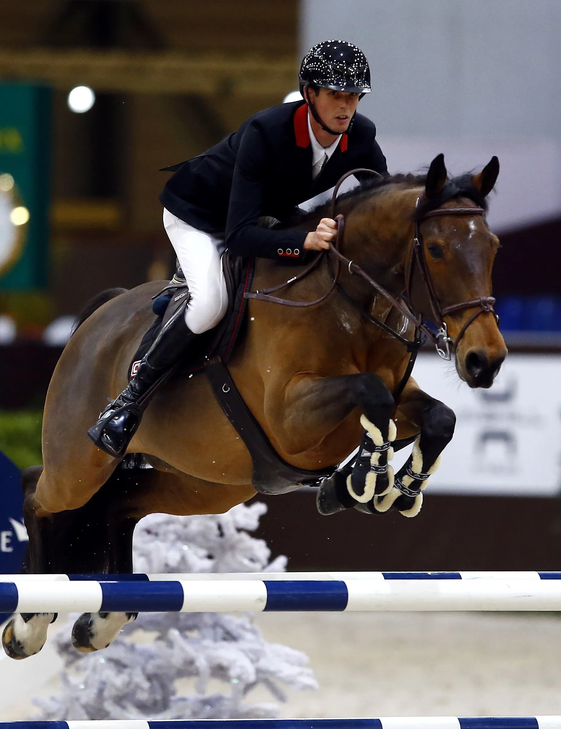 Pour le Normand, Secret du Pays d'Auge dispose de toutes les qualités pour atteindre le même niveau que Timon d'Aure.