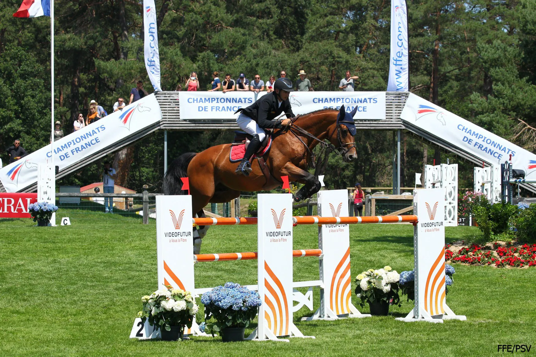 Les nouveaux champions de France!