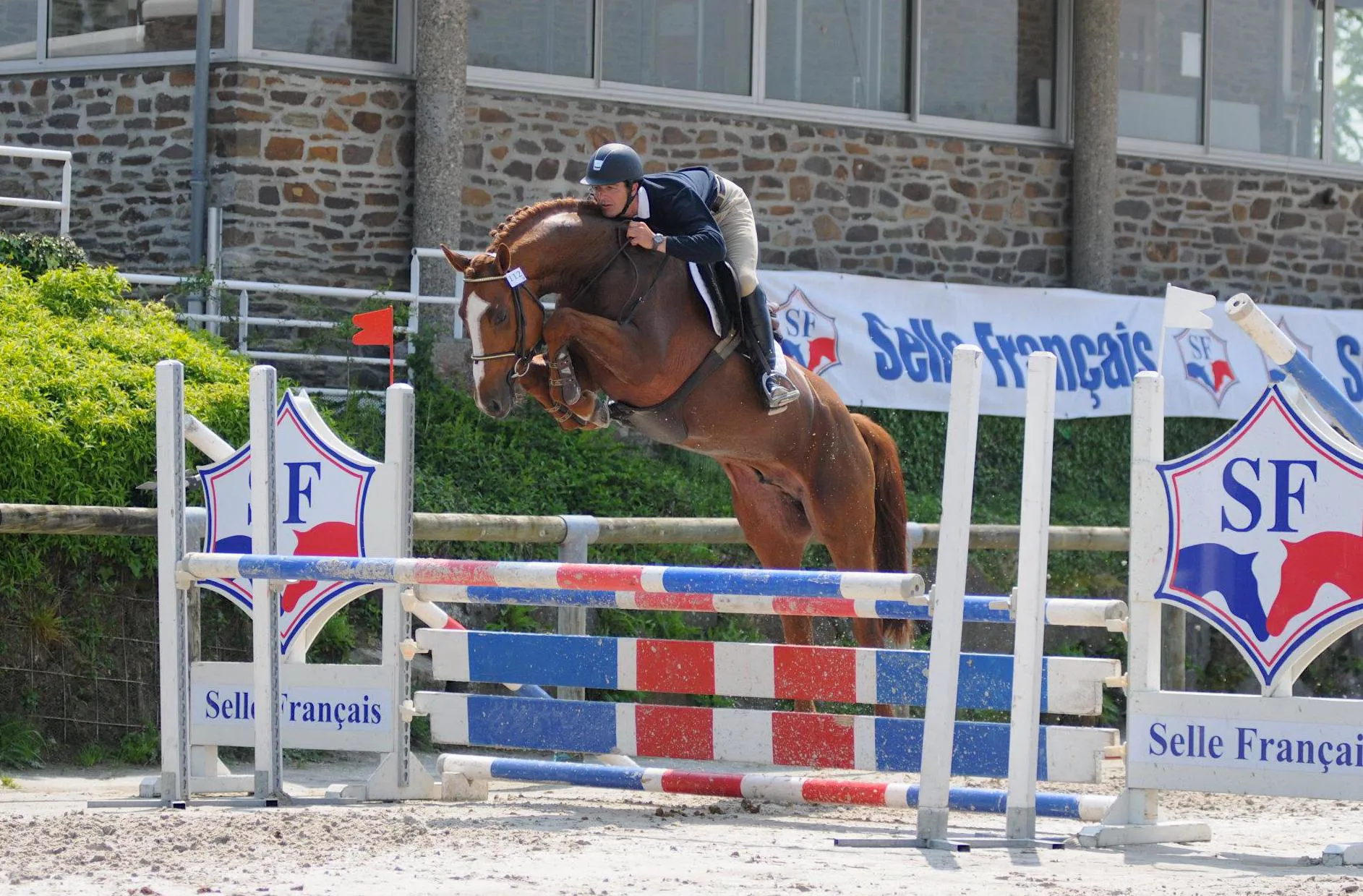 Ici à trois ans sous la selle de Stéphane Dufour, Viking d'la Rousserie fait le show à l'approbation du Selle Français.