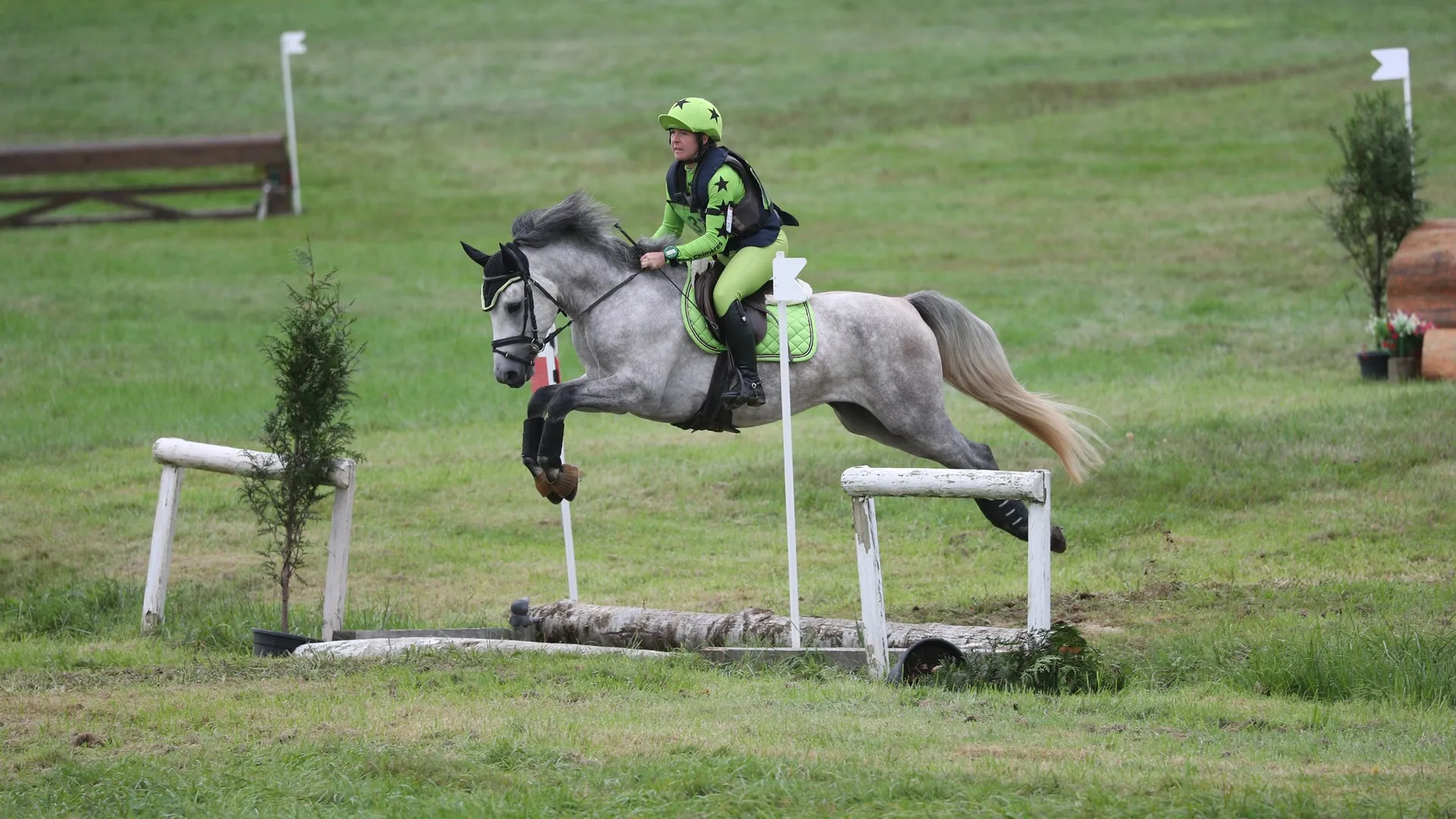 Connemara à l’affixe reconnu, L’Artiste des Graves s’est imposé dans le championnat des poneys de quatre ans. 