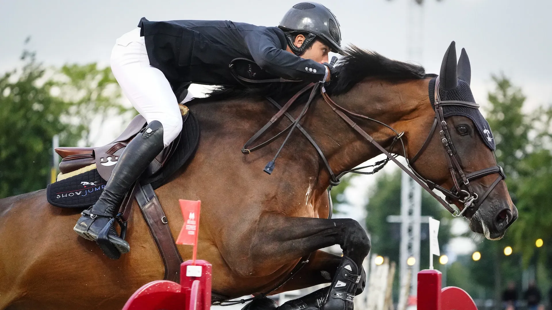 Edward Levy est associé à Uno de Cerisy, avec qui il a déjà honoré une sélection en Coupe des nations. 