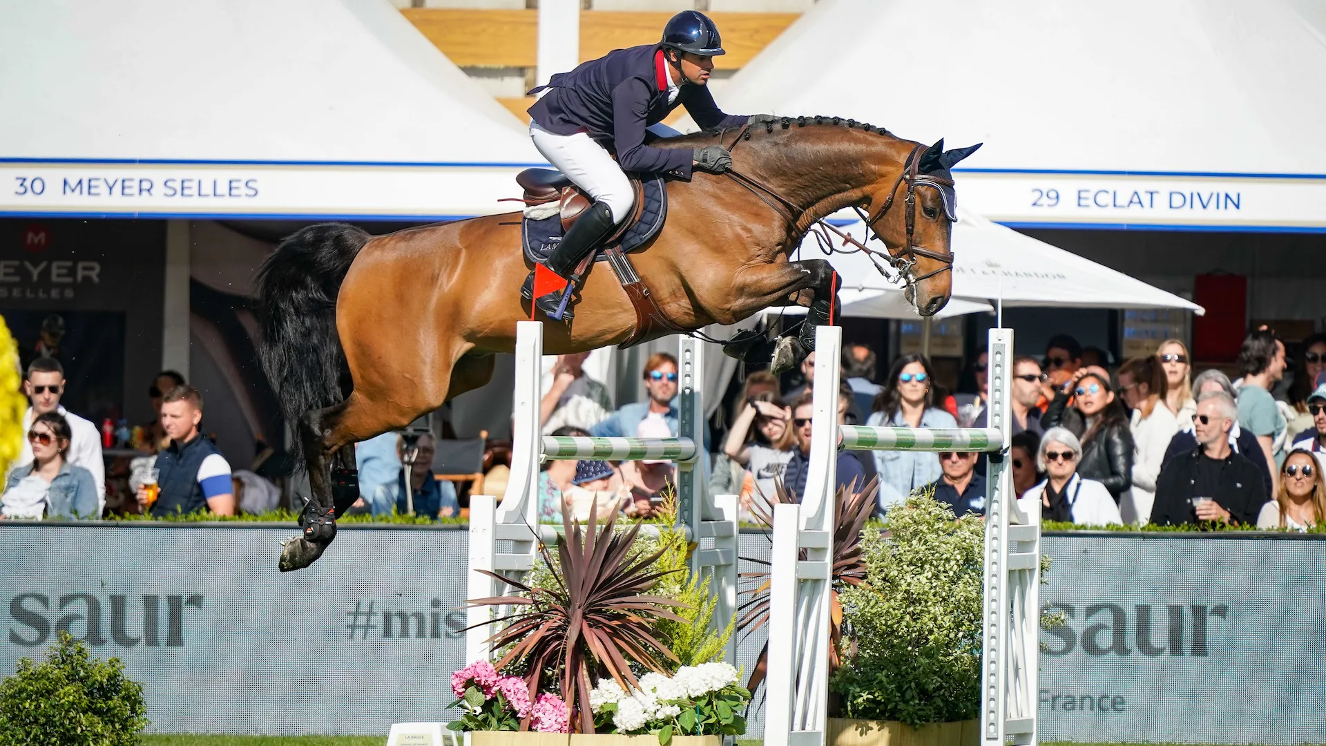 Déjà lauréat d'une épreuve à 1,45m hier, H s'est placé deuxième aujourd'hui. 