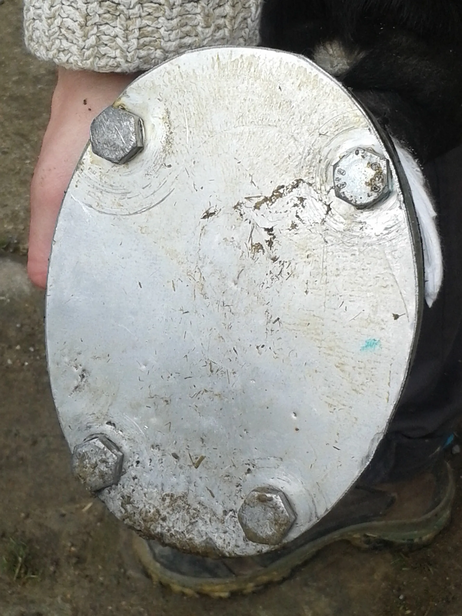 La ferrure à talonnette posée par le maréchal-ferrant