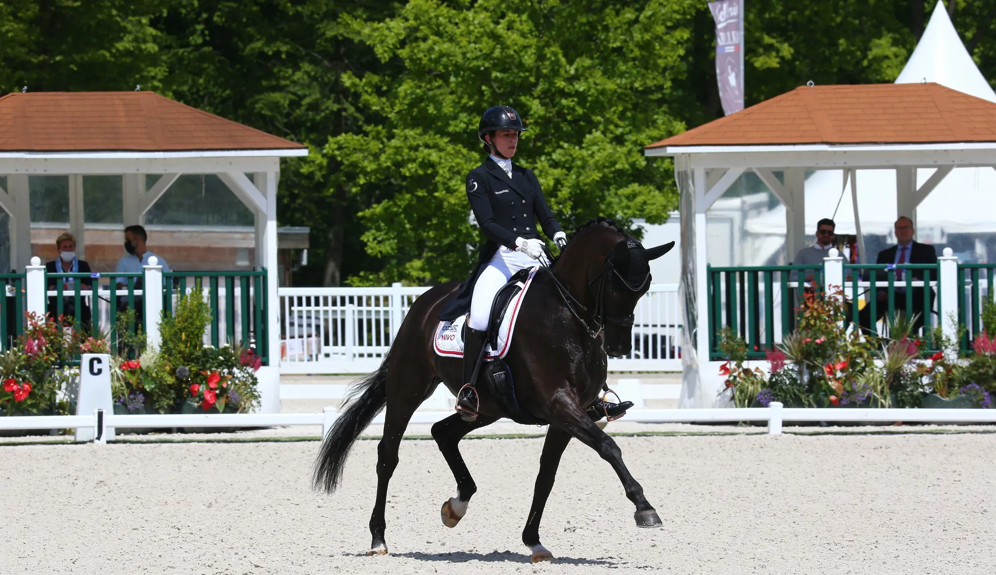  Belle deuxième place de Carina Cassøe Krüth et Heiline's Danciera.
