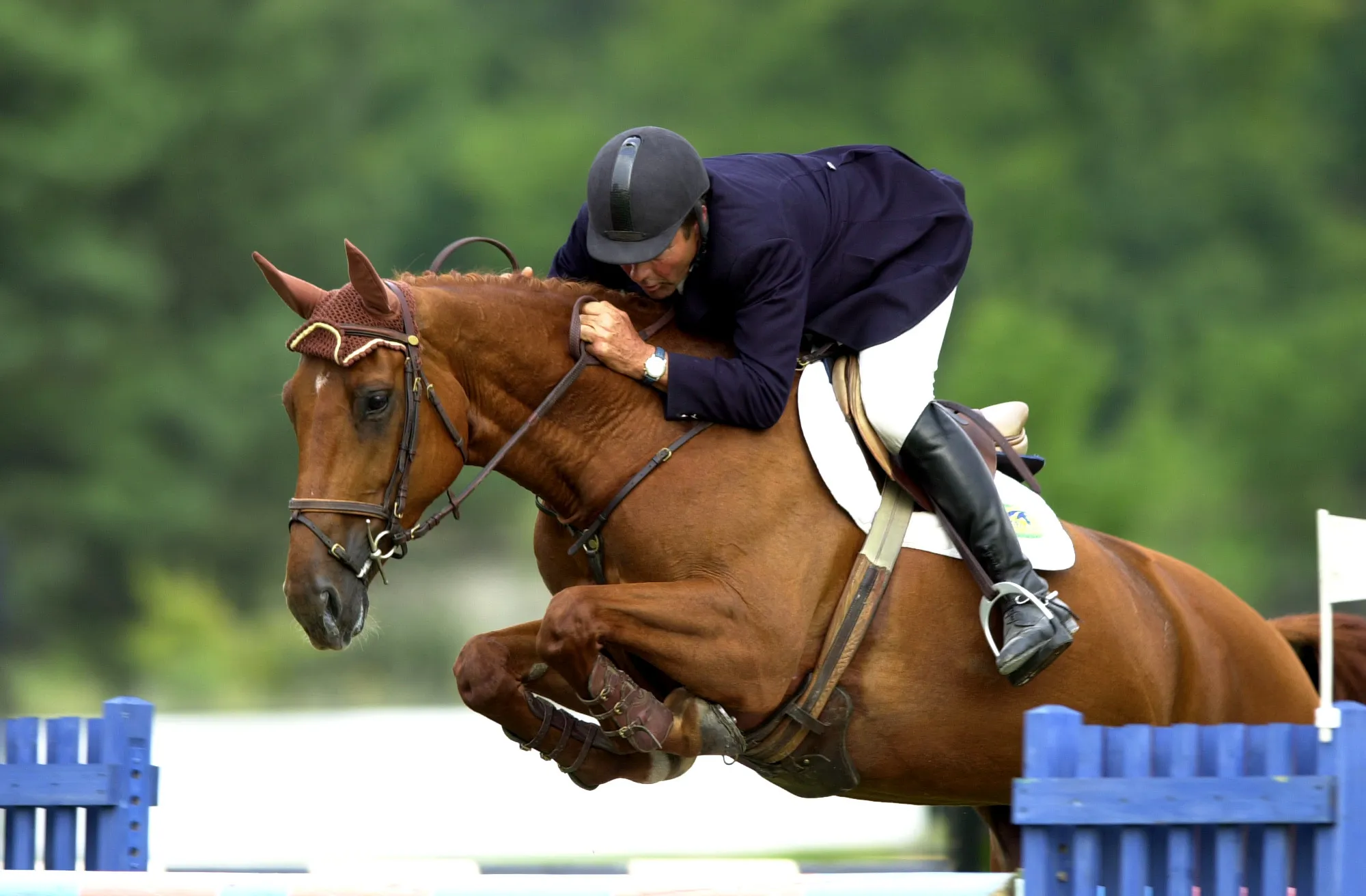 André Chenu, ici en selle sur Flore du Plessis II lors des championnats de France de 2001, fut un grand cavalier et une figure incontournable des grands rassemblements de Fontainebleau.