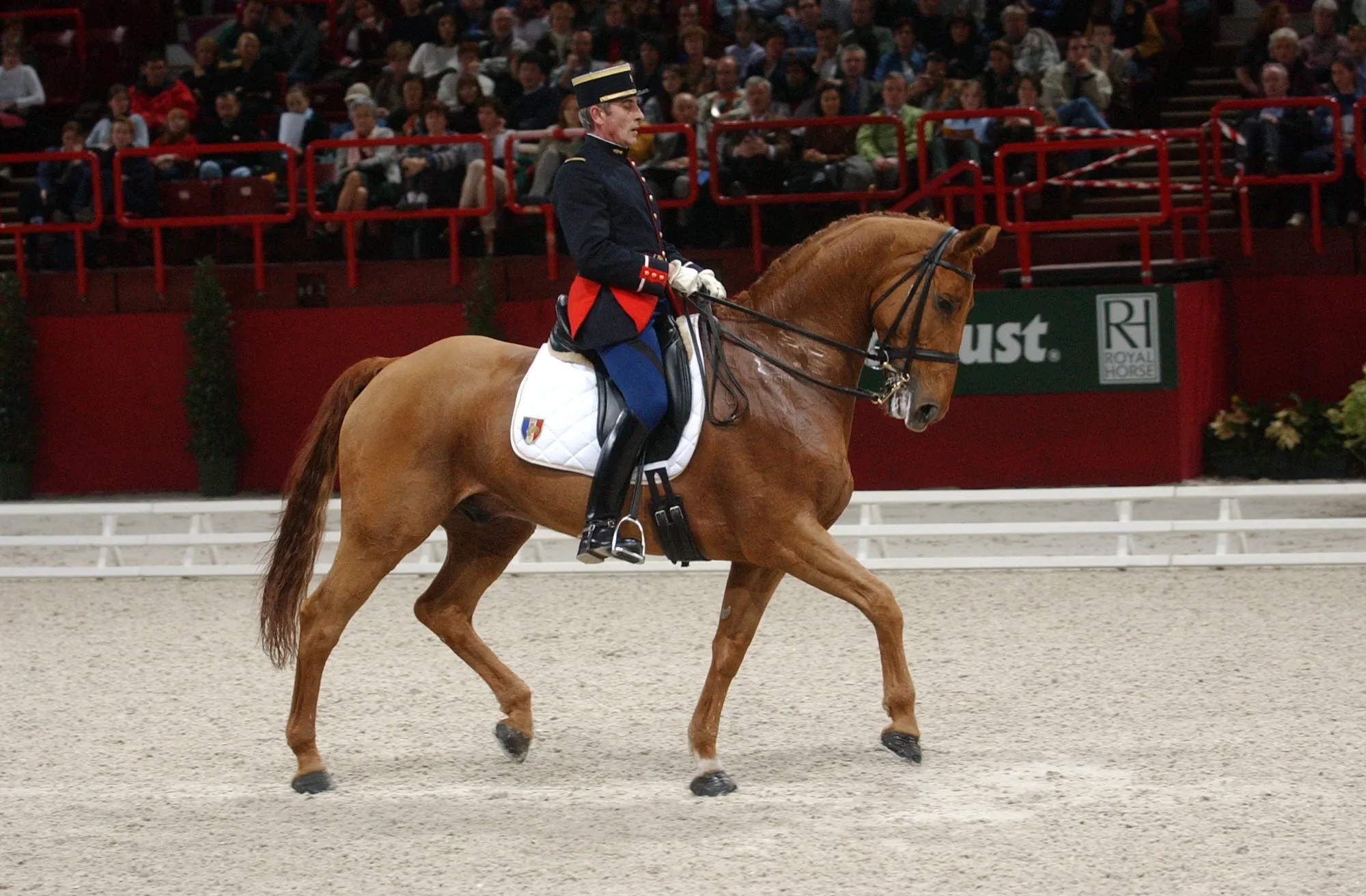Le dressage a également été à l'honneur à Bercy, comme lors du CDI-W où se sont notamment produits les Français Hubert Perring et Diabolo St Maurice.