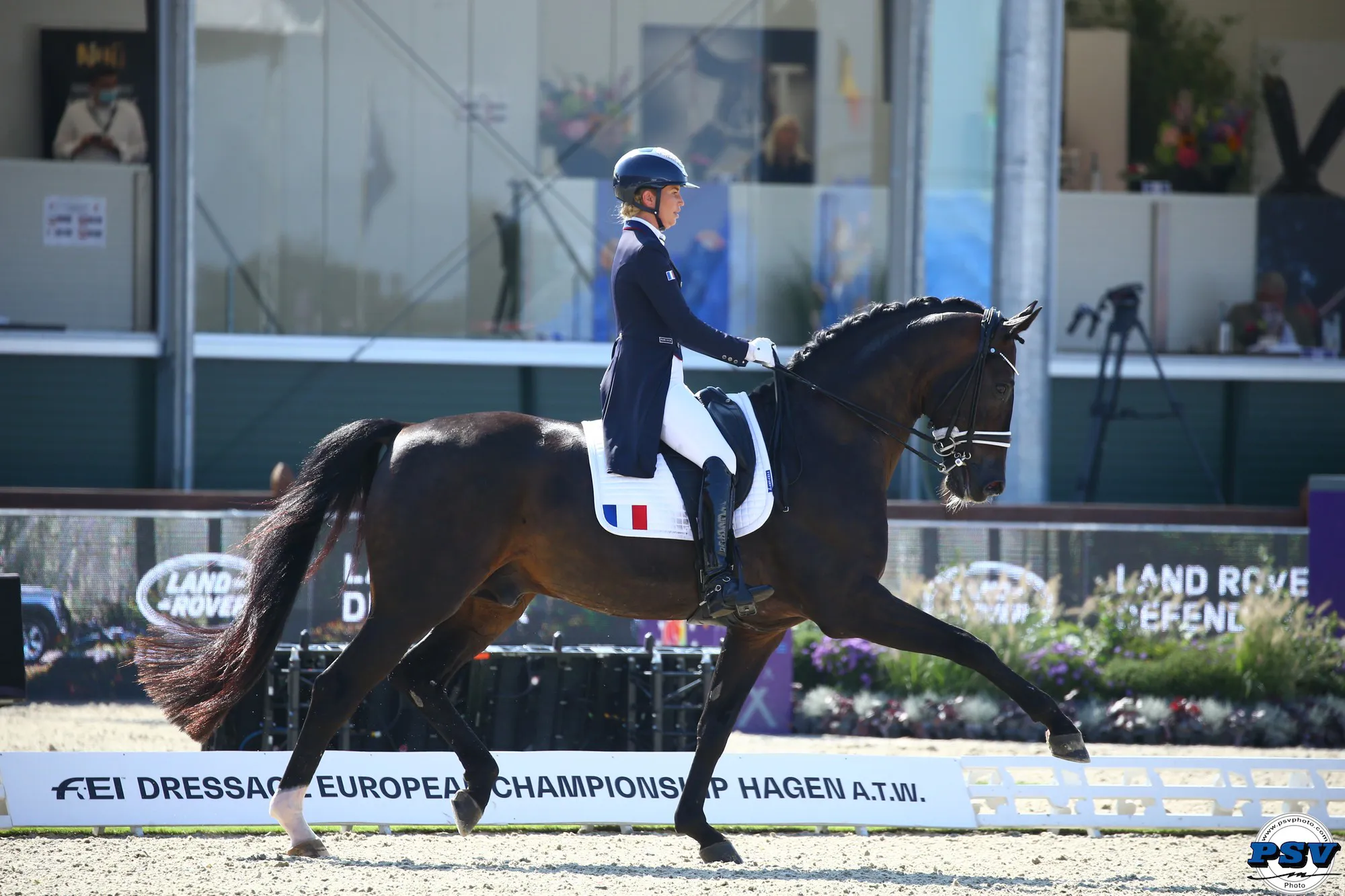 Morgan Barbançon-Mestre et Sir Donnerhall II OLD seront les seuls représentants français demain dans le Spécial. 