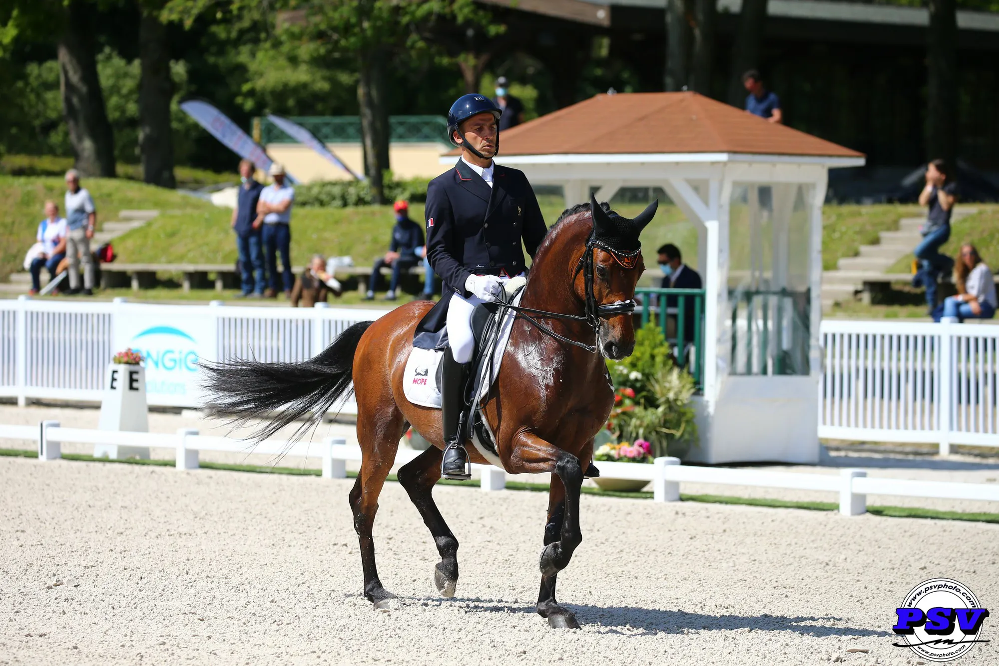 Alexandre Ayache et Farao da Raia.