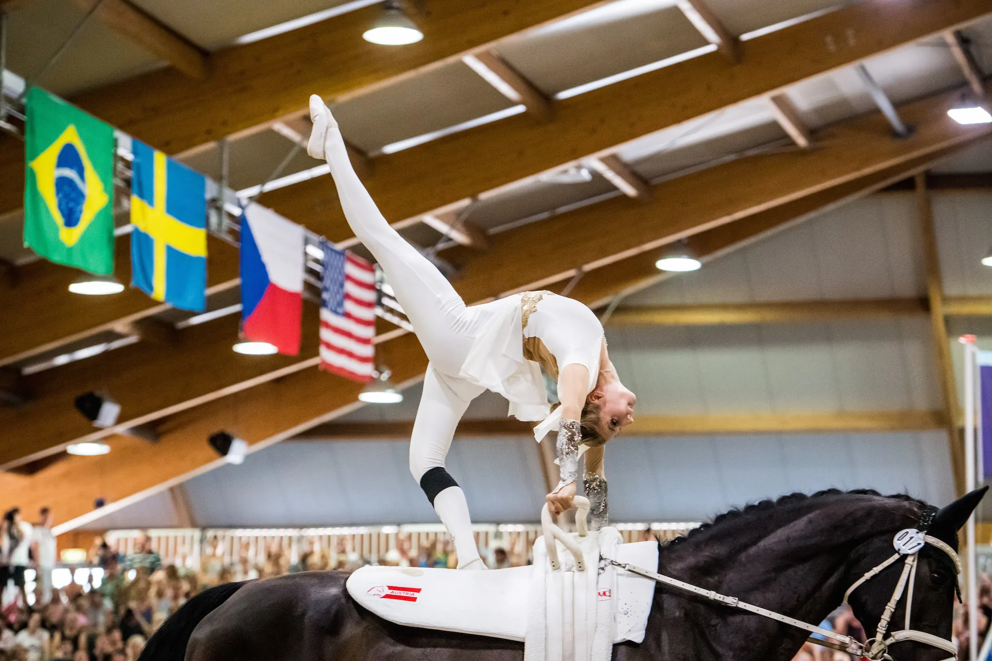 Avec ses belles performances, l'Autriche s'est adjugé une médaille d'argent.