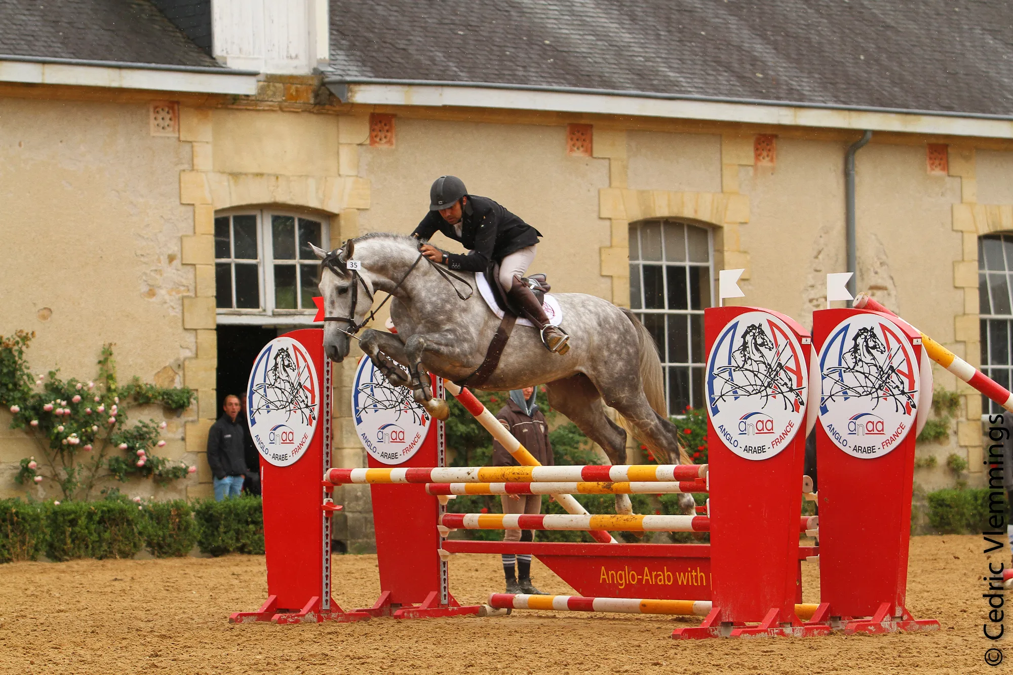 Djehou du Ferron champion suprême des 3ans AA