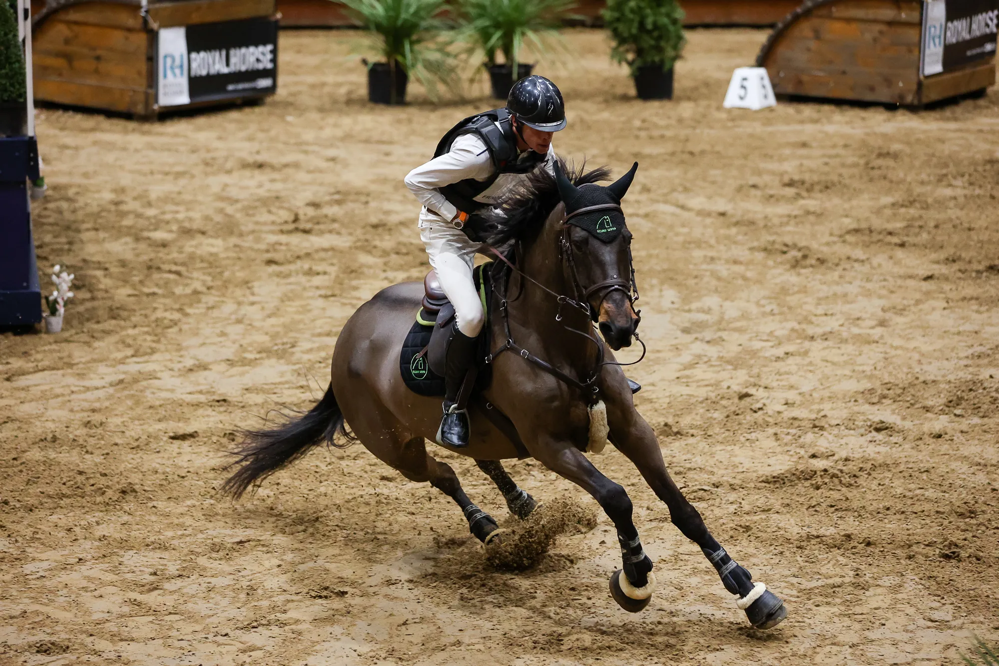 Sans rien laisser paraître, Maxime Livio a pris des risques et été très rapide dans le Grand Manège de l'IFCE !
