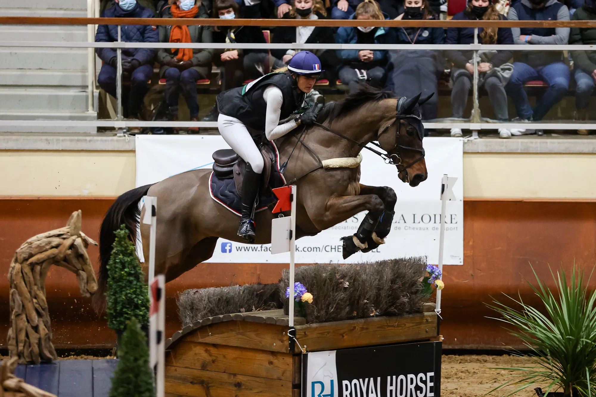 Après leur médaille de bronze européenne, Julie Simonet et Sursumcord'Or ont pris la troisième place du cross indoor de Saumur.