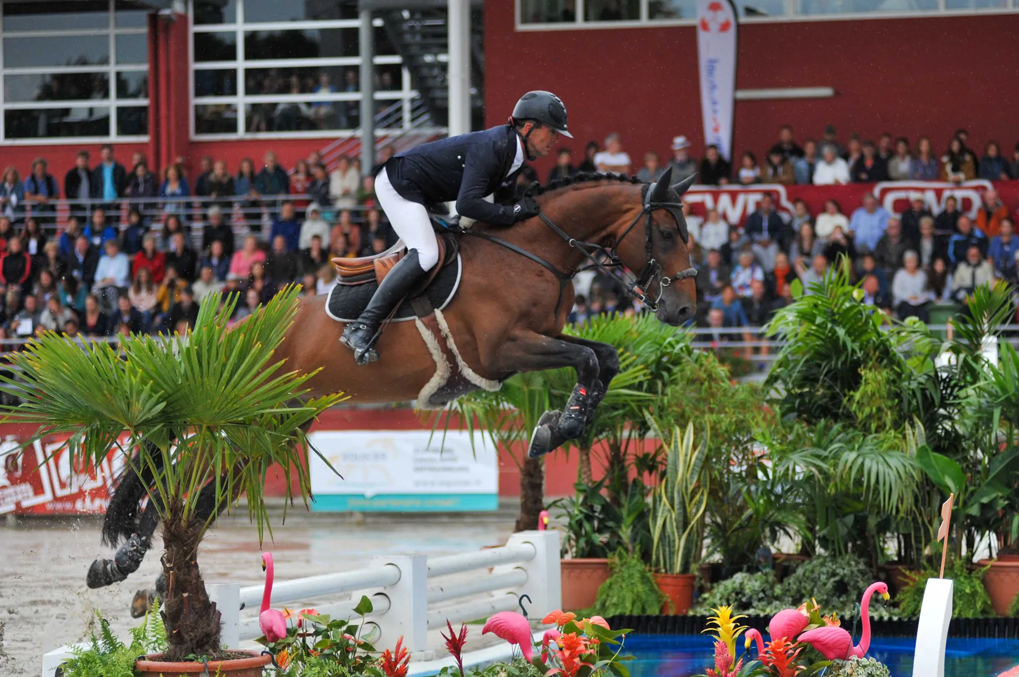 Laurent Goffinet et Atome des Etisses remportaient le Grand Prix du CSI 3* en 2018, lors du 30ème anniversaire du Normandie Horse Show.