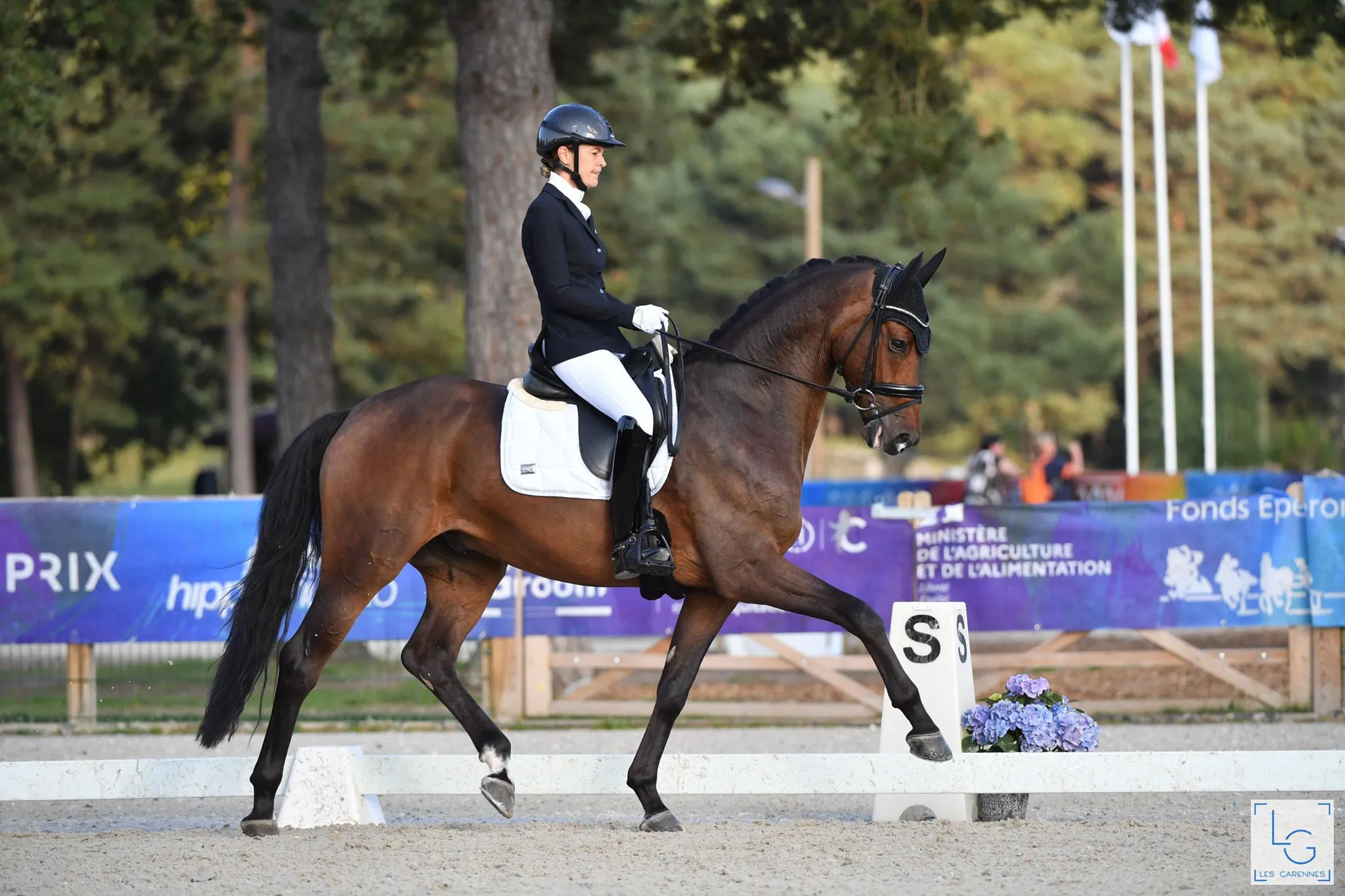 Sous la selle de Jessica Michel Botton, Don Amour Waverley a été sacré champion de France des chevaux de quatre ans. 