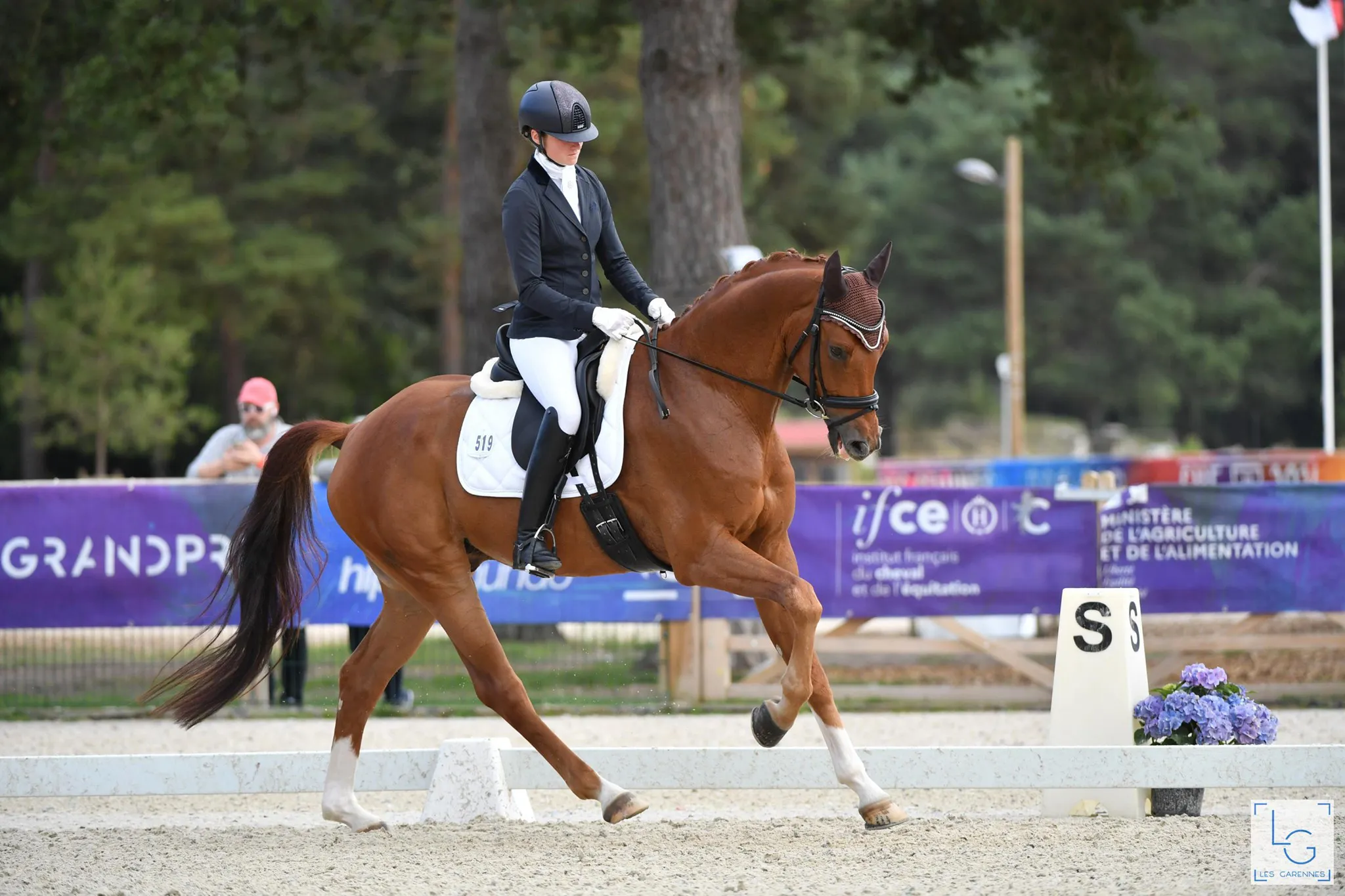 L'Hannovrienne Bellini Jiva a remporté la finale réservée aux chevaux de cinq ans aux côtés de sa cavalière Elsa Maulet. 