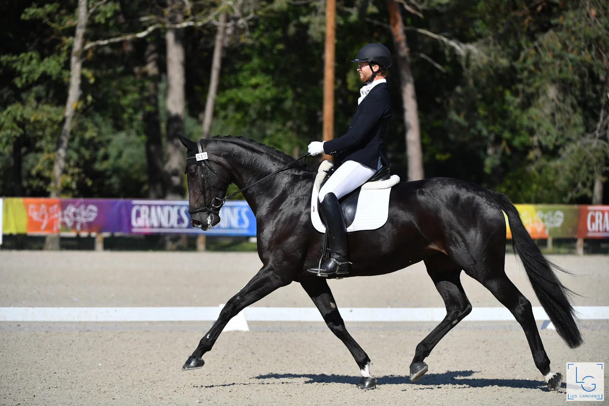 Née chez Lionel et Catherine Guenin, en Haute-Marne, Jin xin du Montroyer a conclu son championnat avec une victoire dans la catégorie des six ans. 
