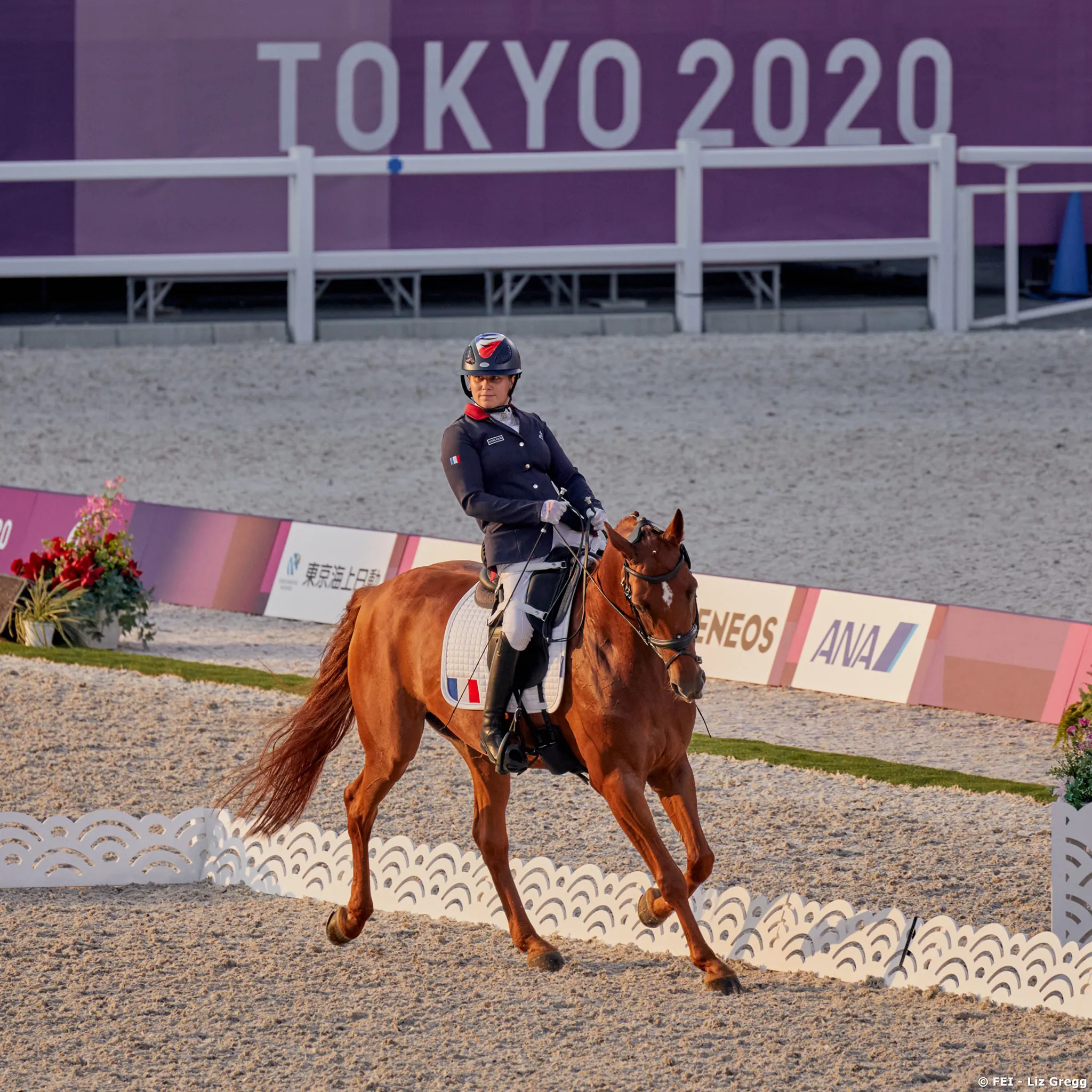 Céline Gerny en pleine reprise sur Rhapsodie*IFCE.