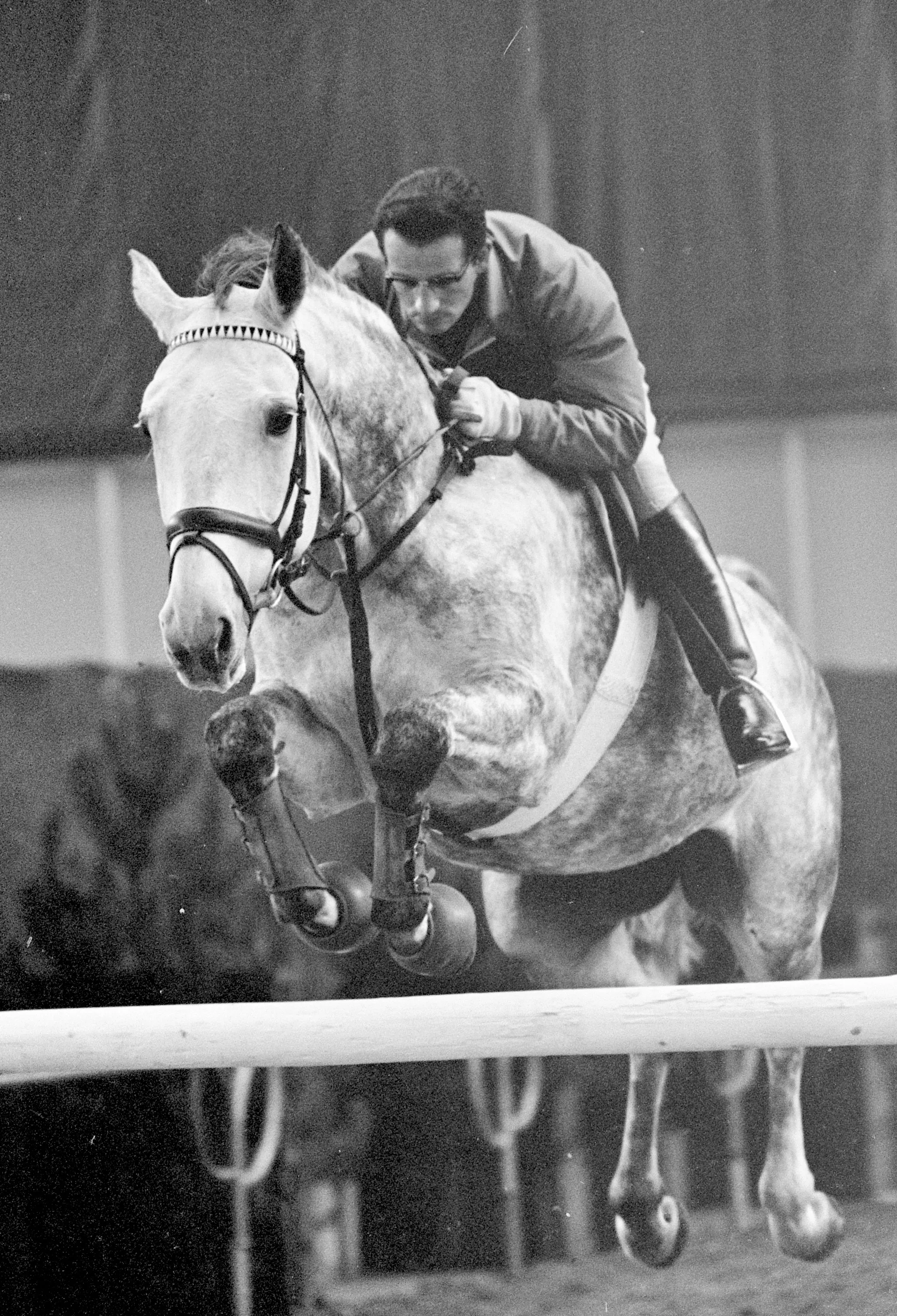 Hans-Günter Winkler sur sa jument Scheila au jumping d'Amsterdam, en 1966.