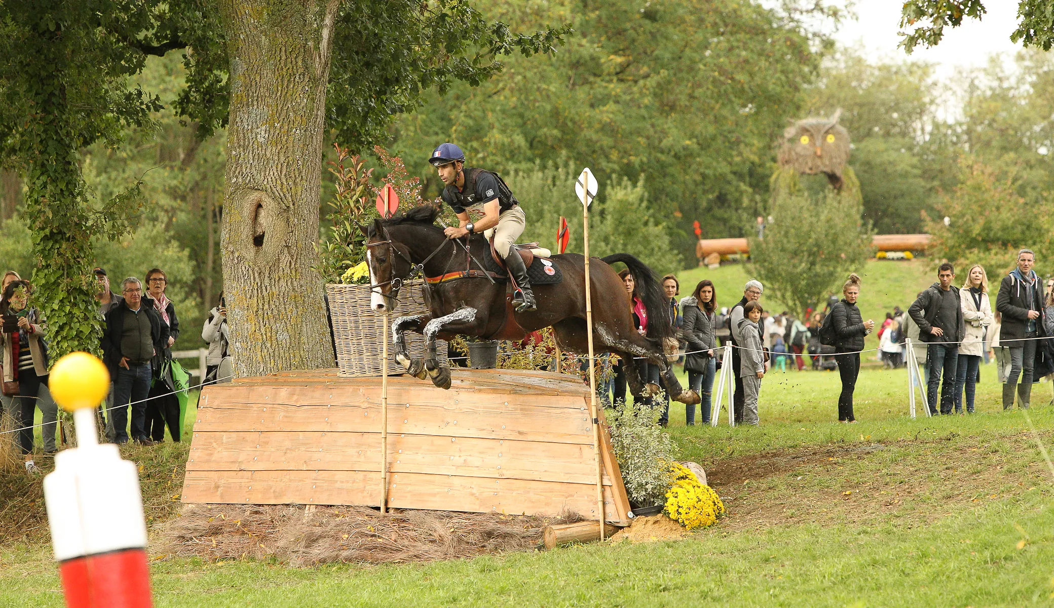 Astier Nicolas et Lumberton sont les meilleurs français des 7 ans