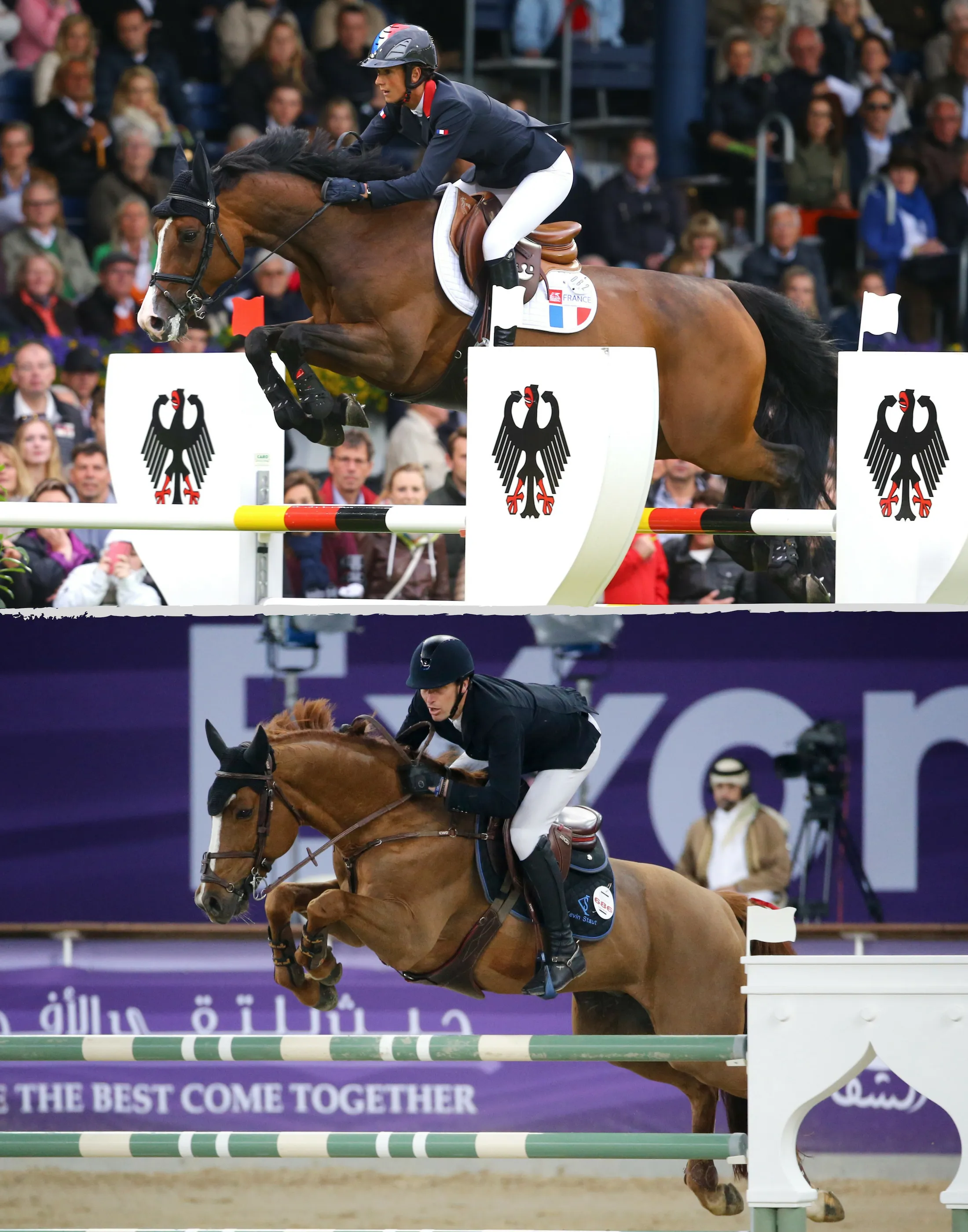 S'ils partagent le même sang, Ratina d'la Rousserie et Viking d'la Rousserie ont également en commun un sacré tempérament.