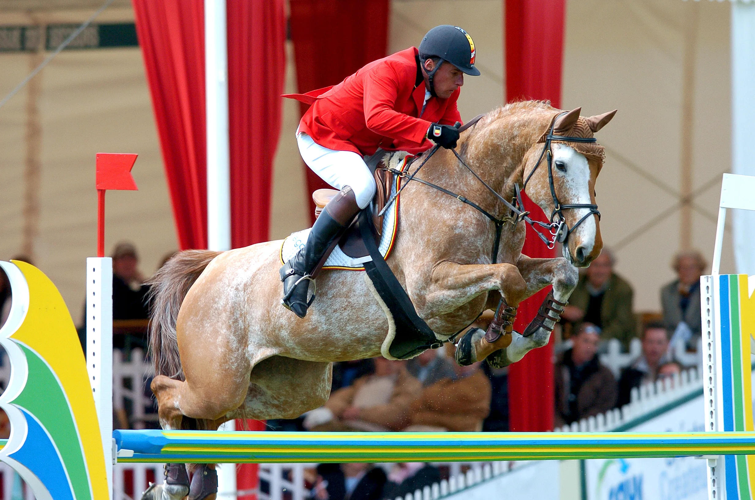 La souche du chef de race a également produit Kira III, excellente partenaire de Ludo Philippaerts, ici en 2004 à La Baule.