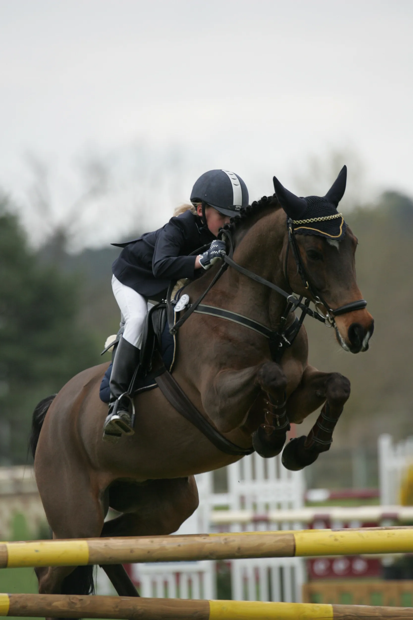 L’Allemande Laura Klaphake garde un magnifique souvenir de l’édition 2006 du BIP, dont elle avait remporté le Grand Prix CSIP avec Jerome 56.