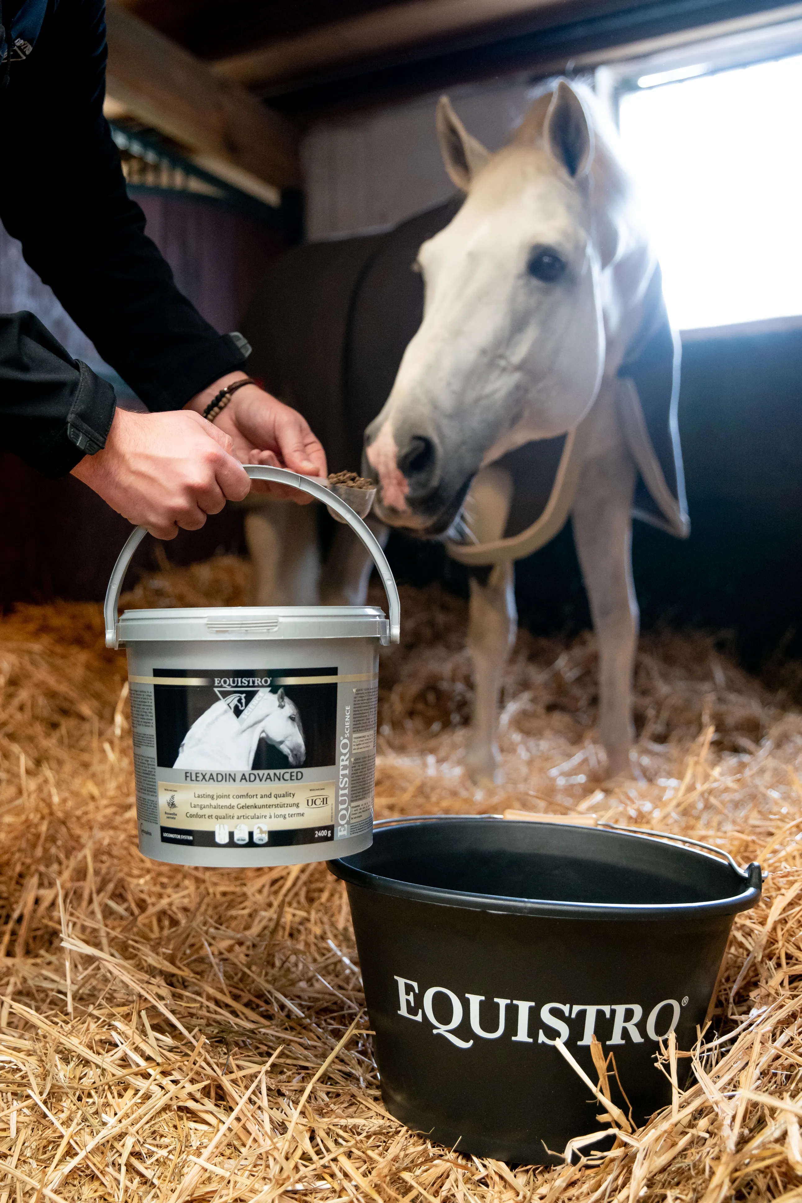 © Jessica Rodrigues