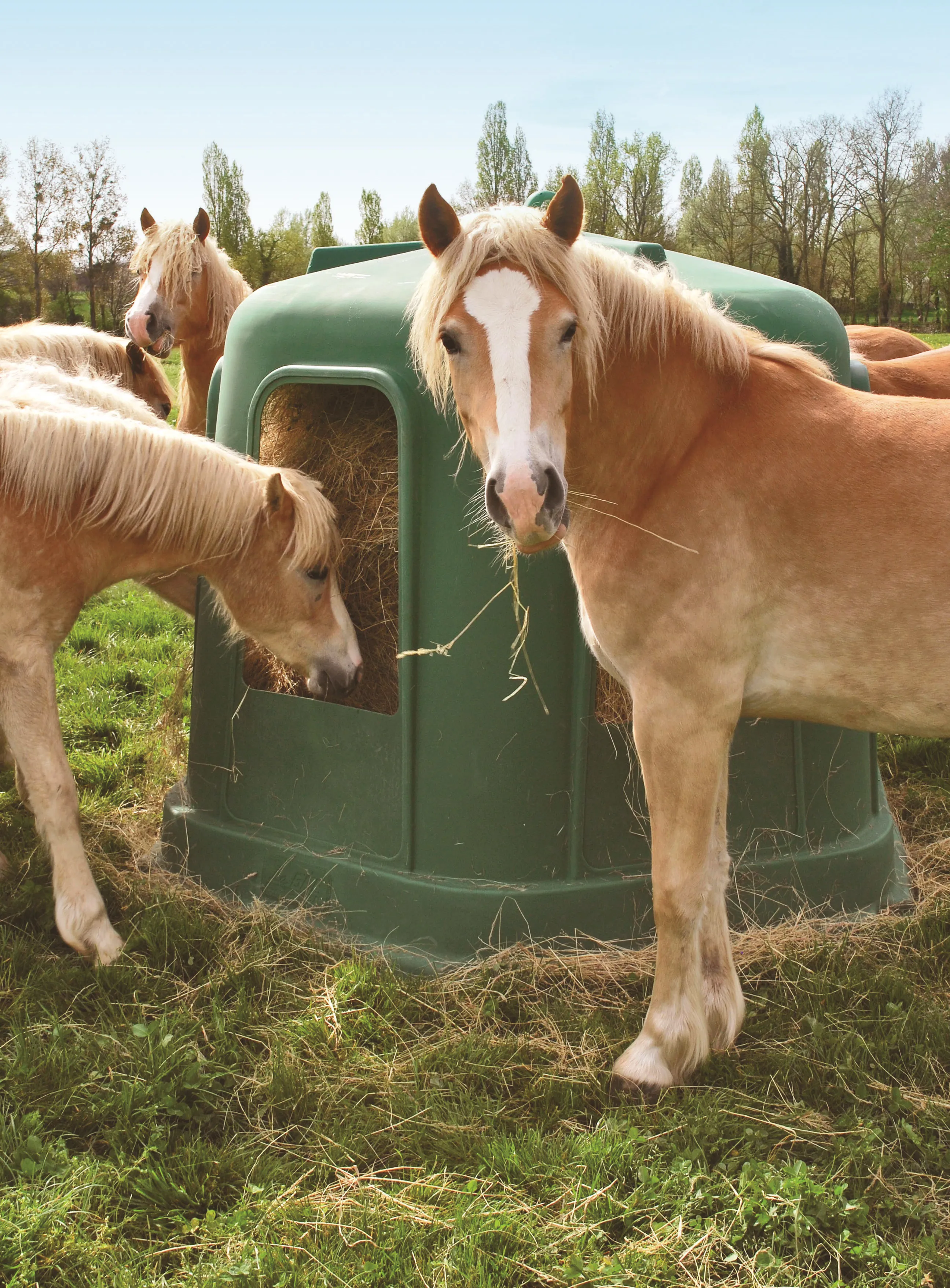 Crédit Photo Polymoule