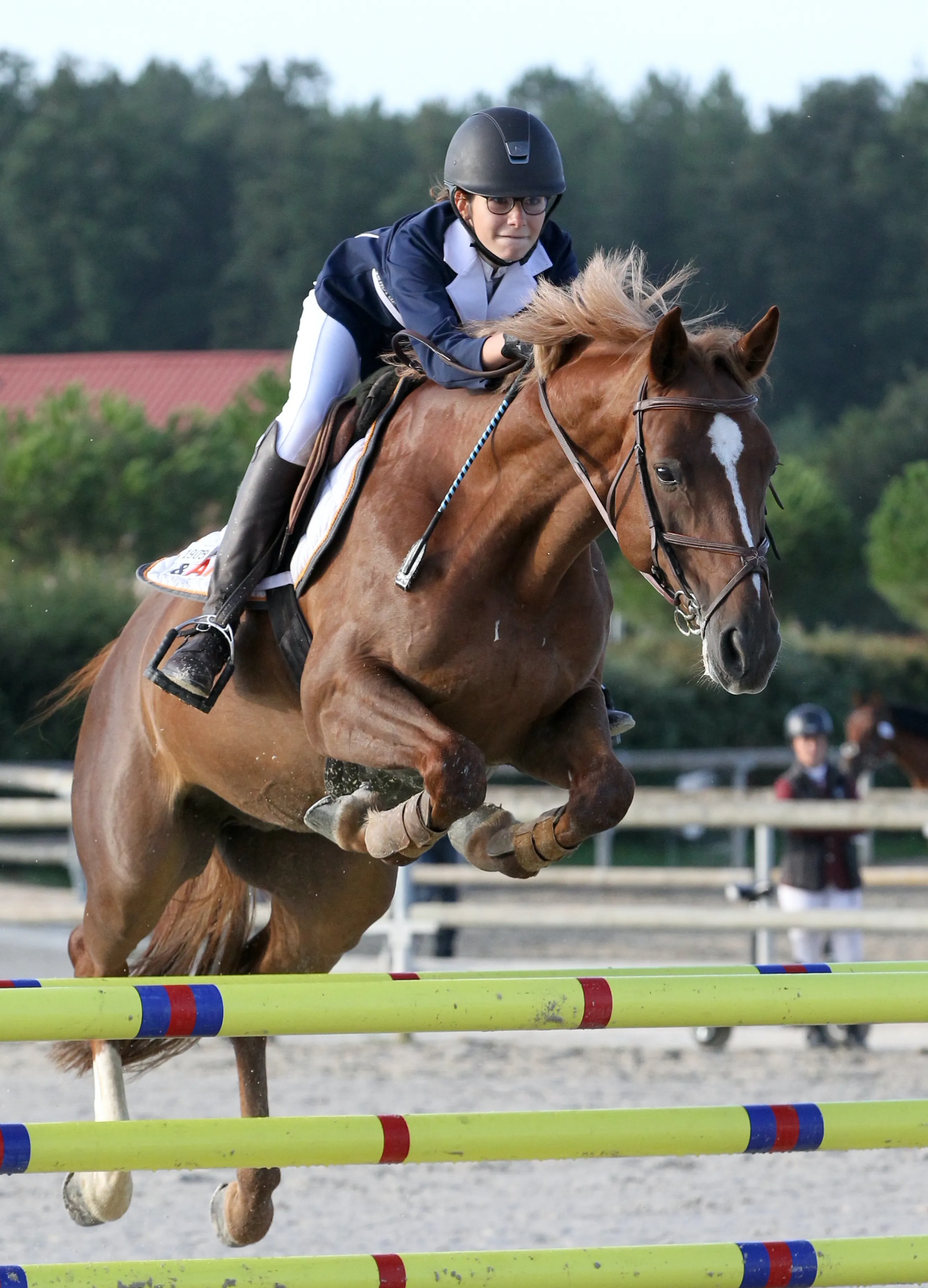 Ici en 2017 à Lamotte-Beuvron, le petit Vegas Flamingo, fils de Nangaye, a réussi une belle carrière en Poneys avec Sixtine Morvillers.