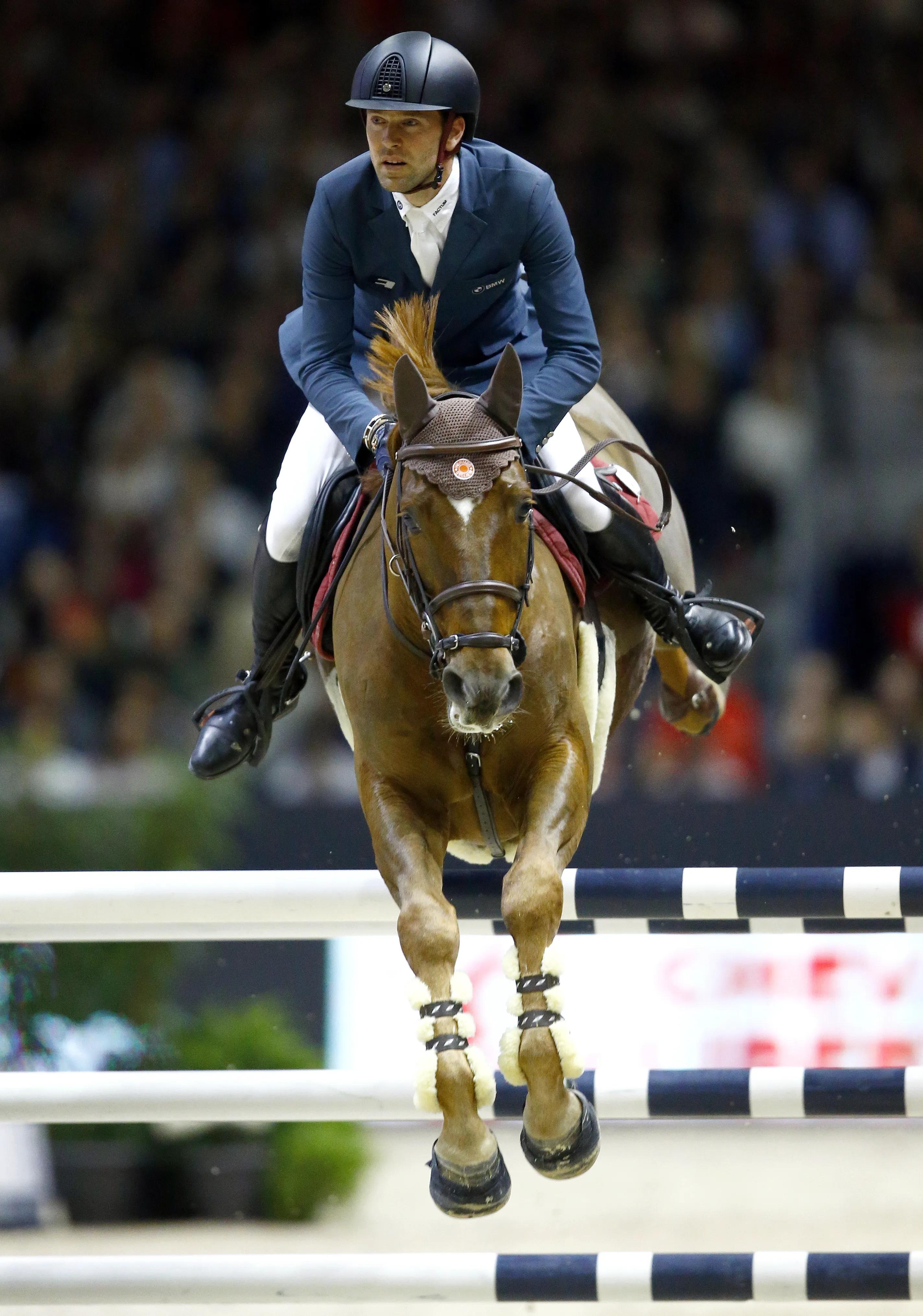 Vainqueur du Grand Prix Coupe du monde de Lyon, Hermès Ryan des Hayettes est le meilleur cheval français par les gains en 2017.