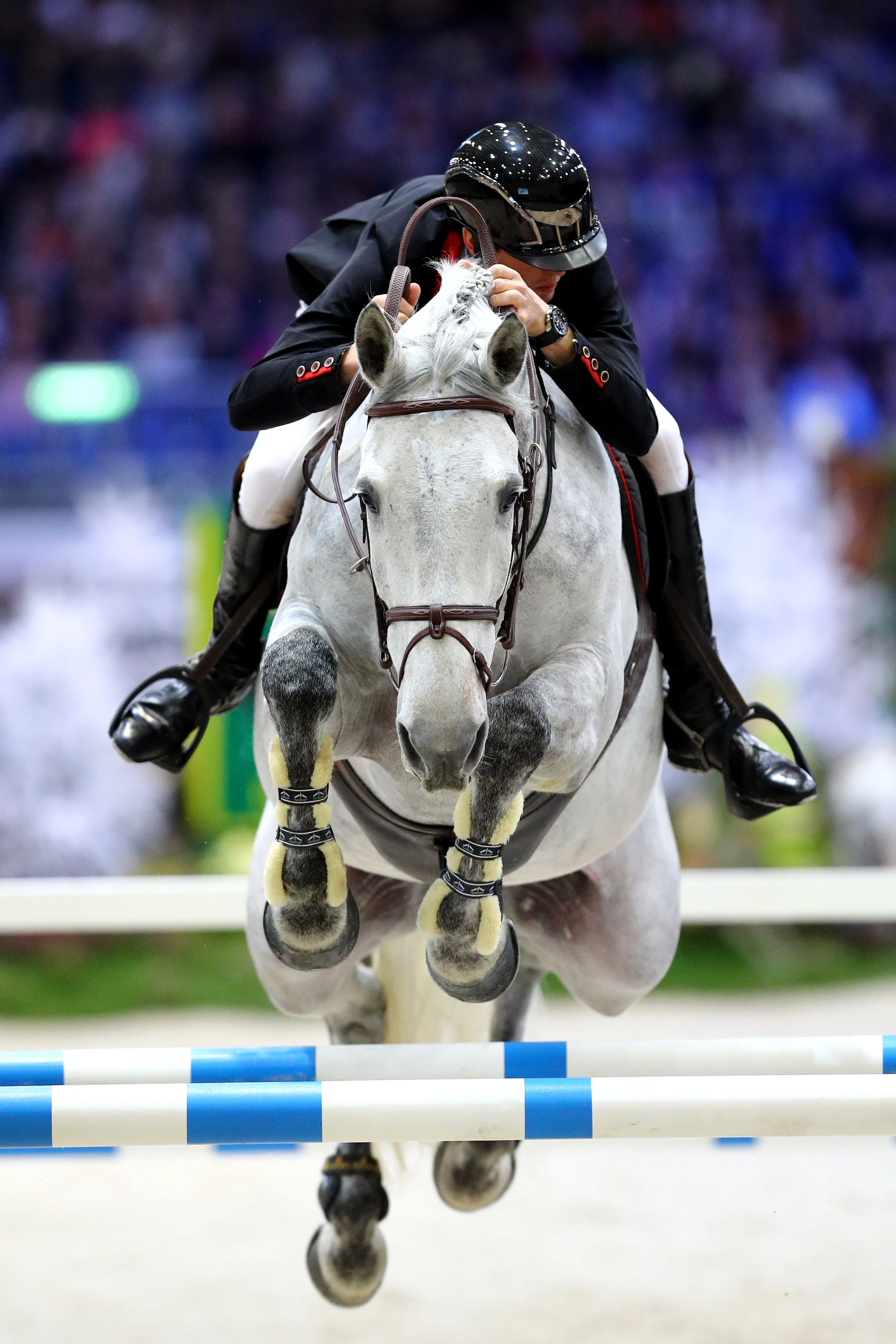 Timon d'Aure, la pépite d'Alexis Deroubaix.