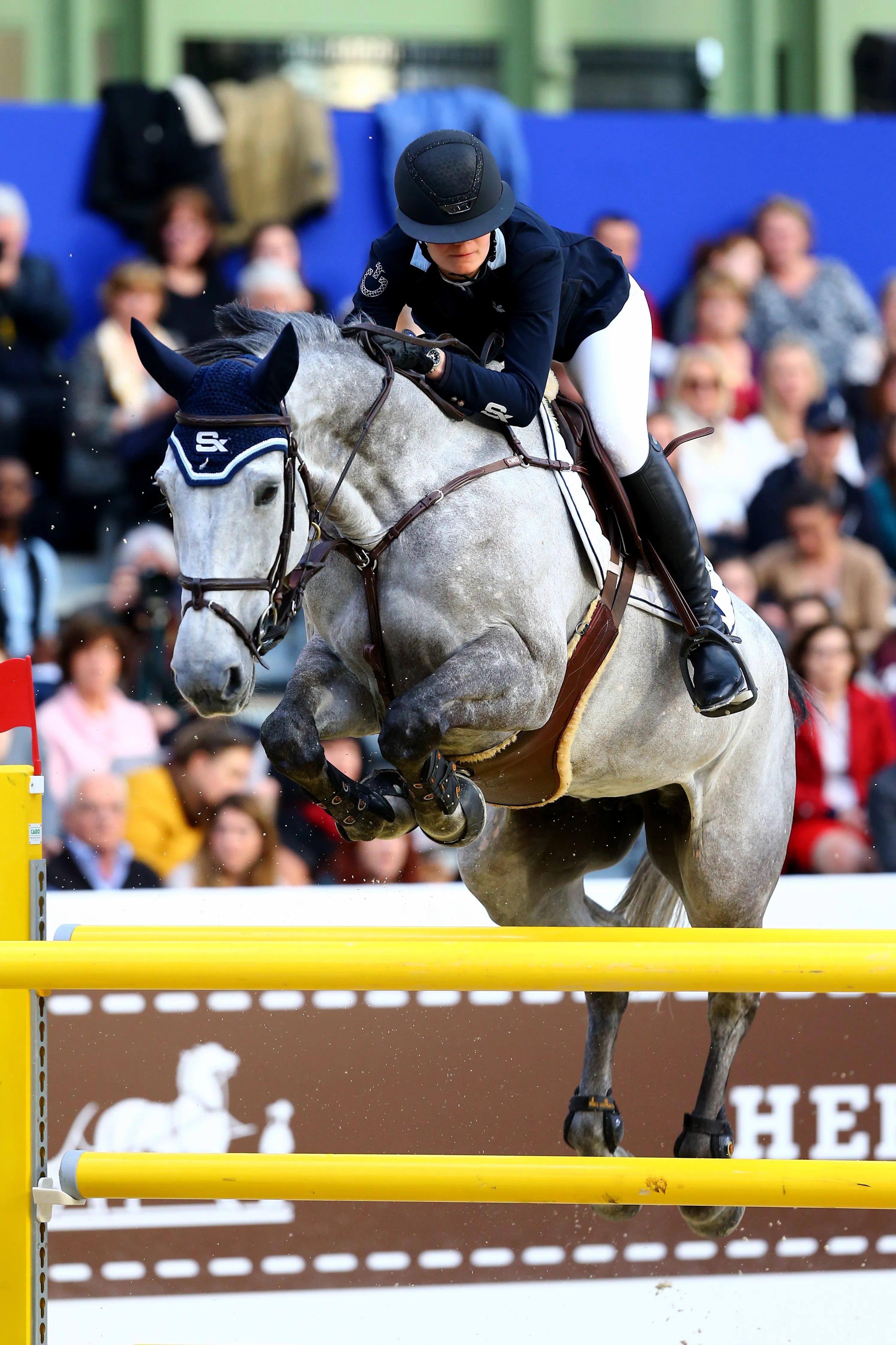 Entre 2015 et mai 2018, Irenice Horta a évolué avec Zoé Conter.