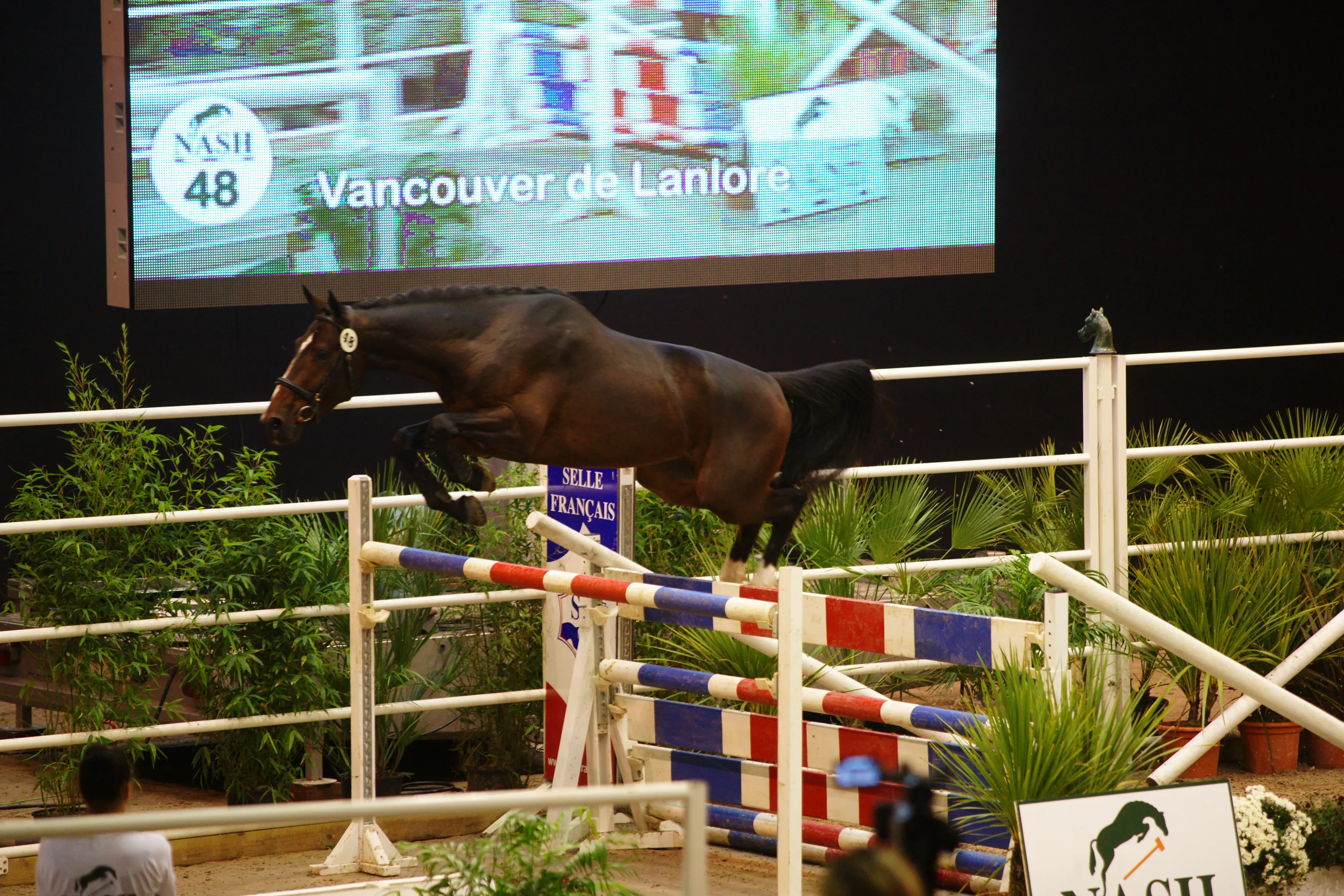 Vancouver de Lanlore, adjugé à 90 000 euros en 2012, conserve le record des ventes Nash.