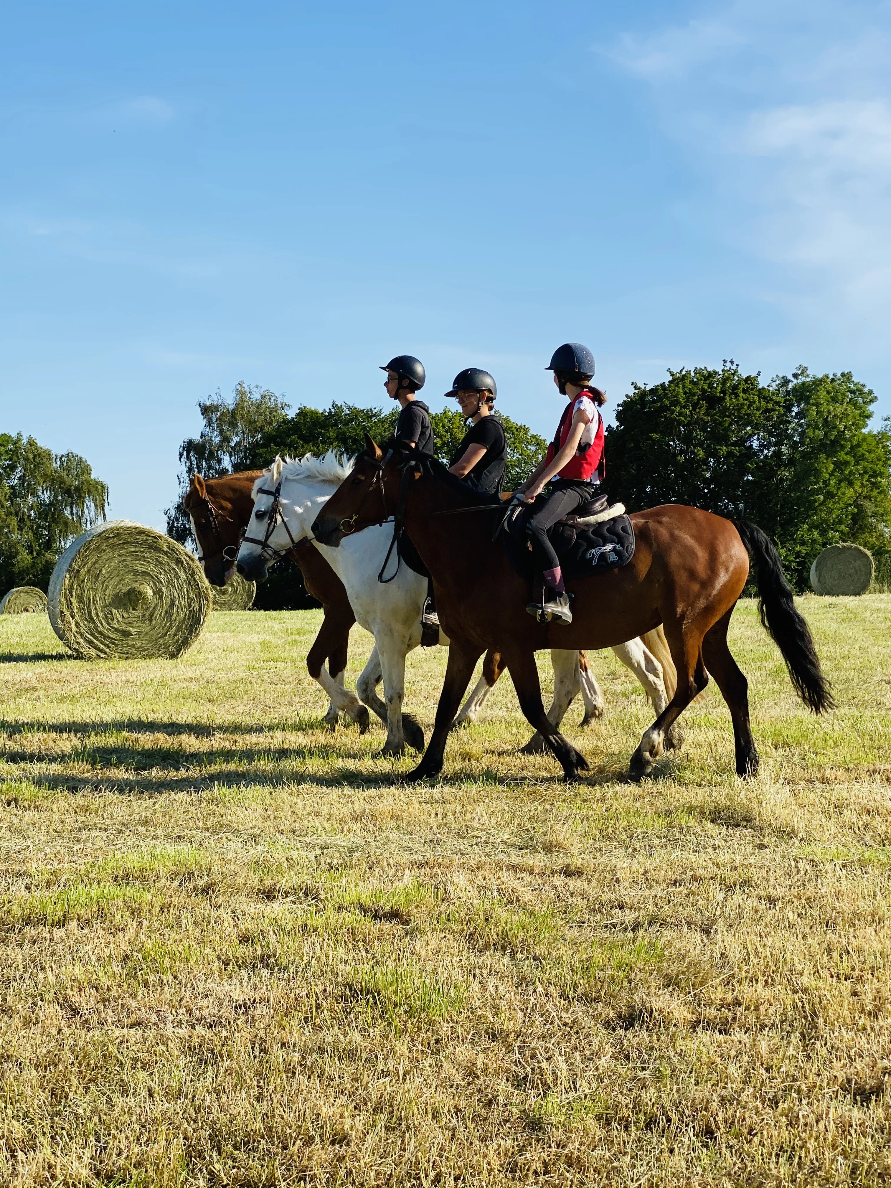Ces chevaux et poneys concourrent avec des enfants et s'entrainent en sécurité dans les champs car ils n’ont pas besoin de se défouler et n’ont pas emmagasiné de stress lié à l’enfermement. 
