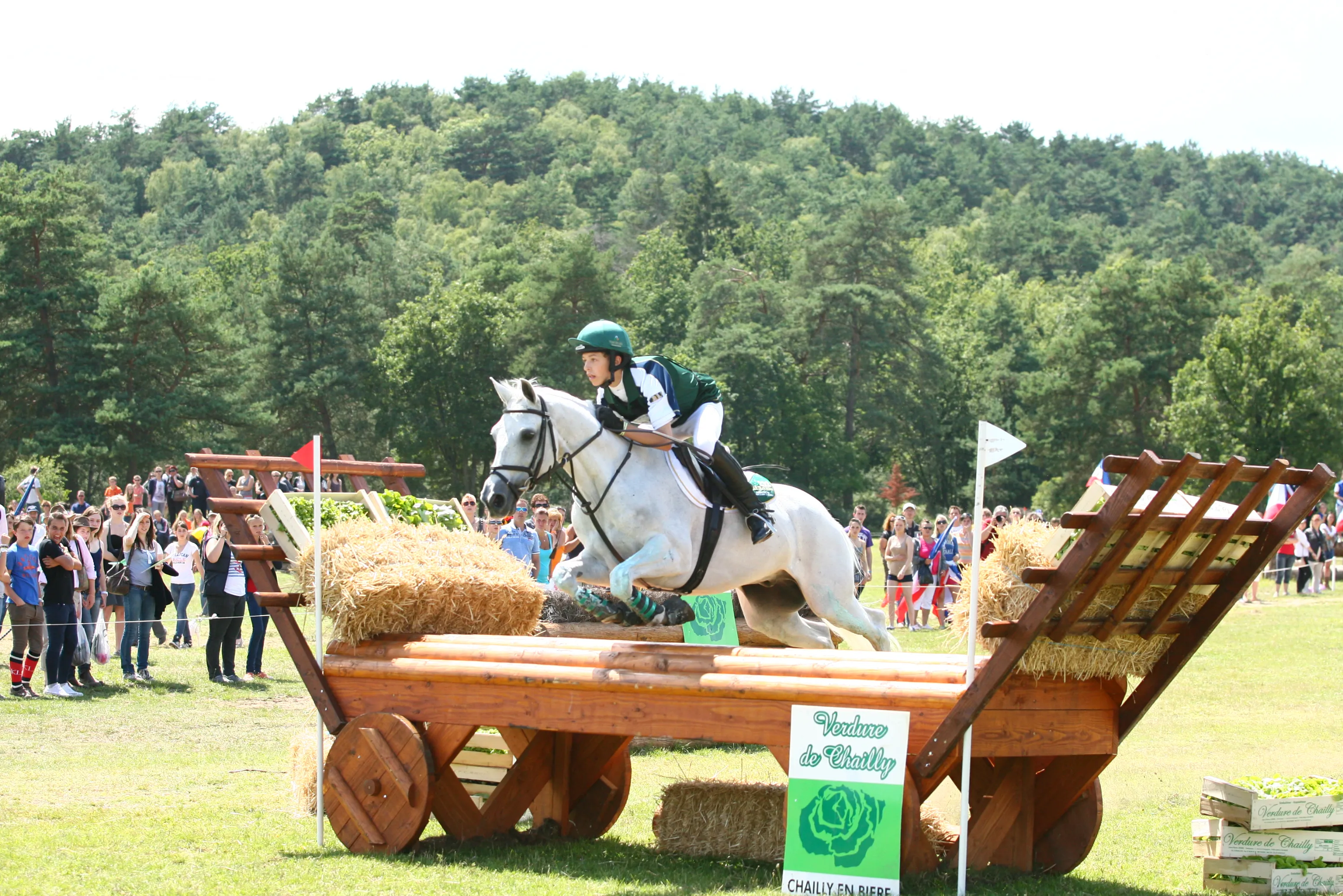 En 2012, à l’aube de ses seize ans, l’Irlandais avait remporté l’or individuel et par équipes aux championnats d’Europe Poneys de Fontainebleau avec Master Murrose.