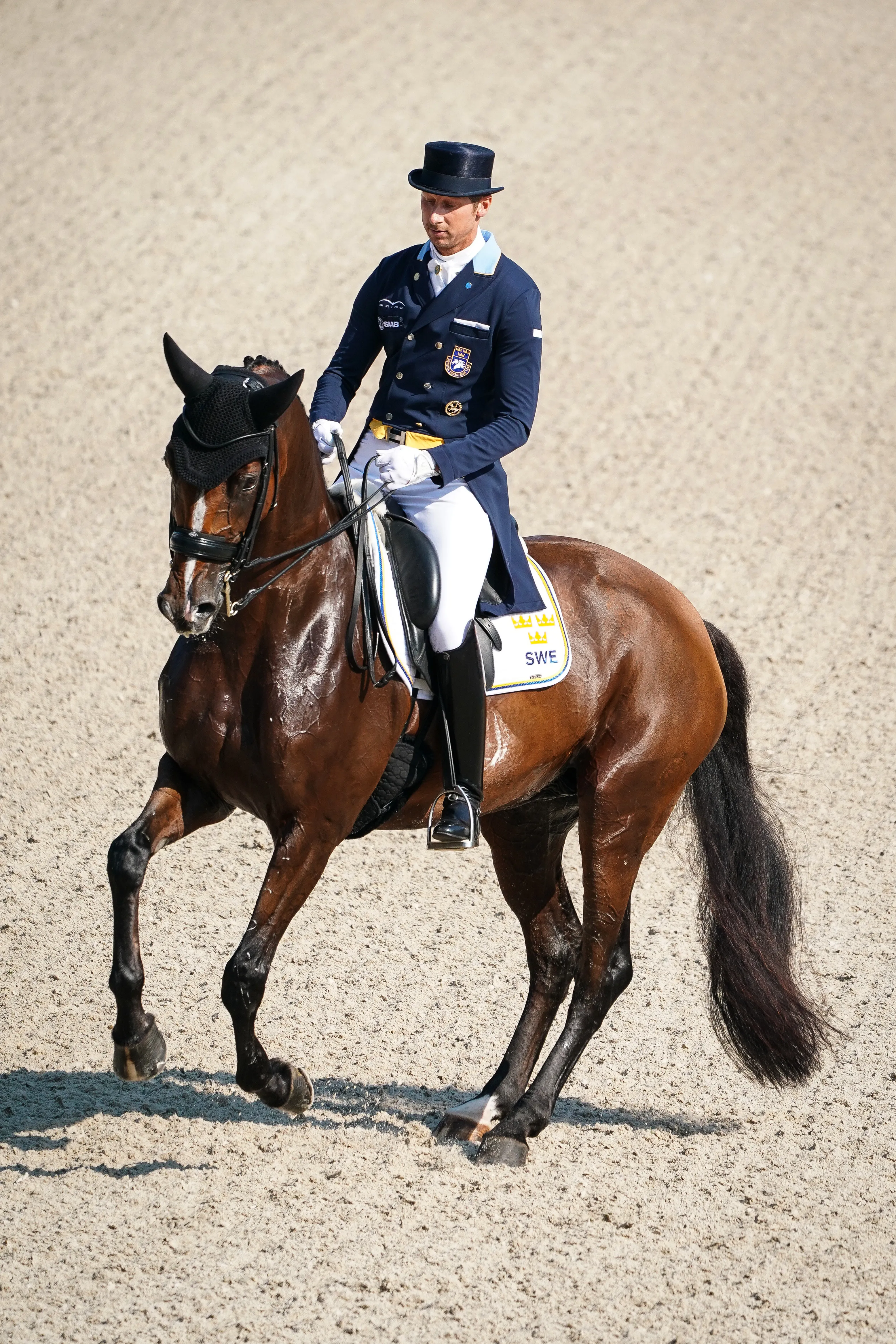 Patrik Kittel et Well Done de la Roche CMF font figure de leaders de la potentielle équipe suédoise. 