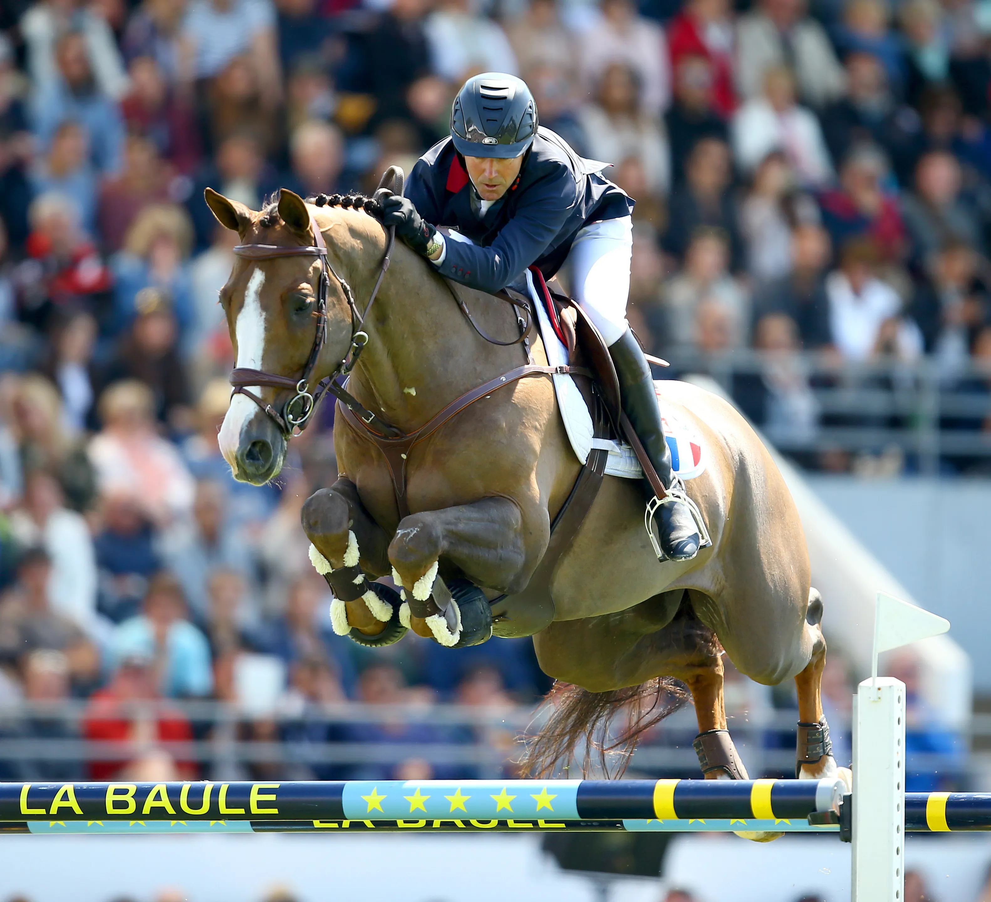 Vainqueurs du Grand Prix CSIO 5* de La Baule, Patrice Delaveau et Aquila*HDC sont selon vos votes ceux qui disposent le plus de chance d'obtenir une sélection pour Tryon.