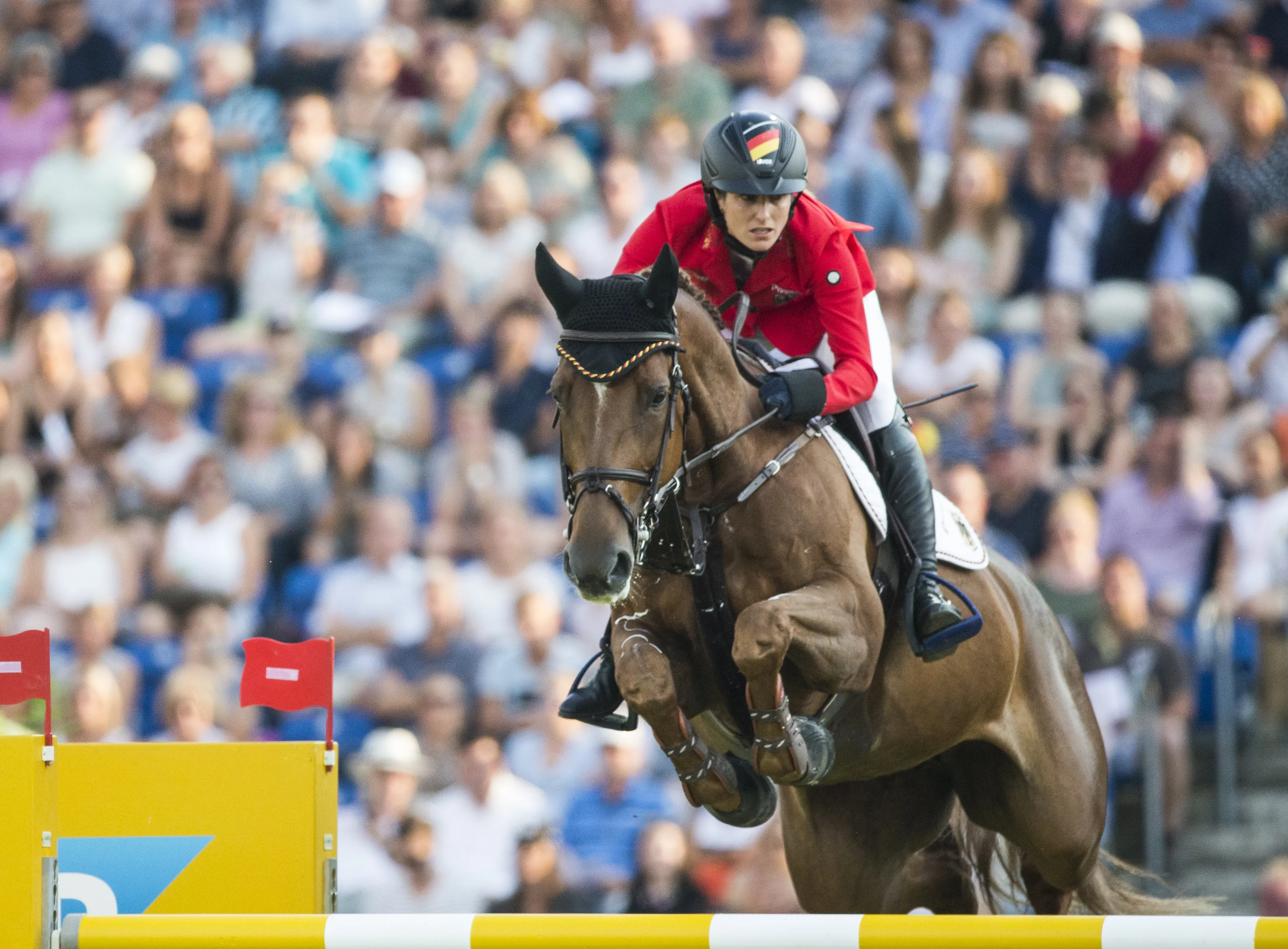 De retour de convalescence depuis peu, DSP Alice est déjà au top de sa forme !