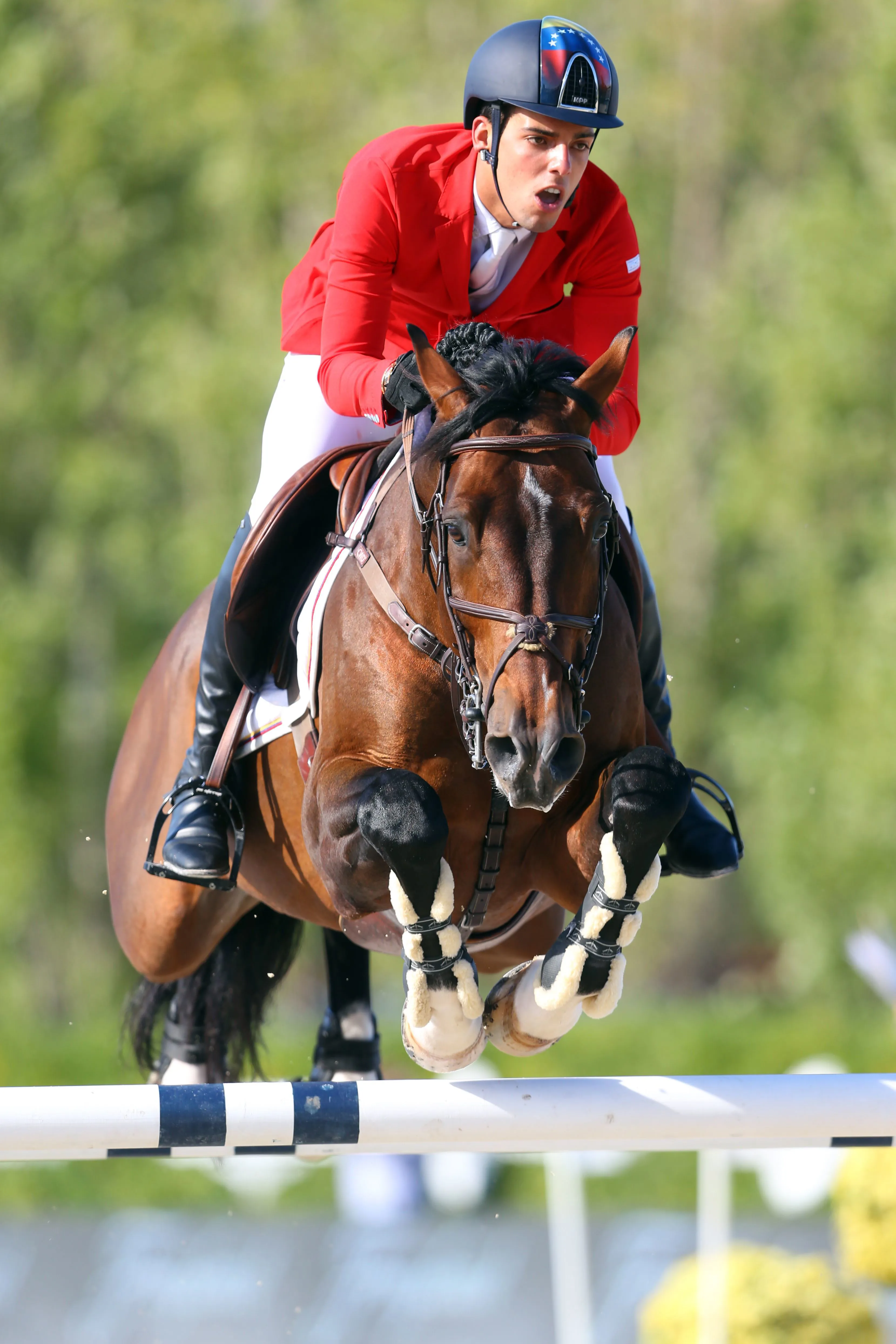 Hardrock Z a été le cheval le mieux vendu avec un coup de marteau à 280 000 dollars.