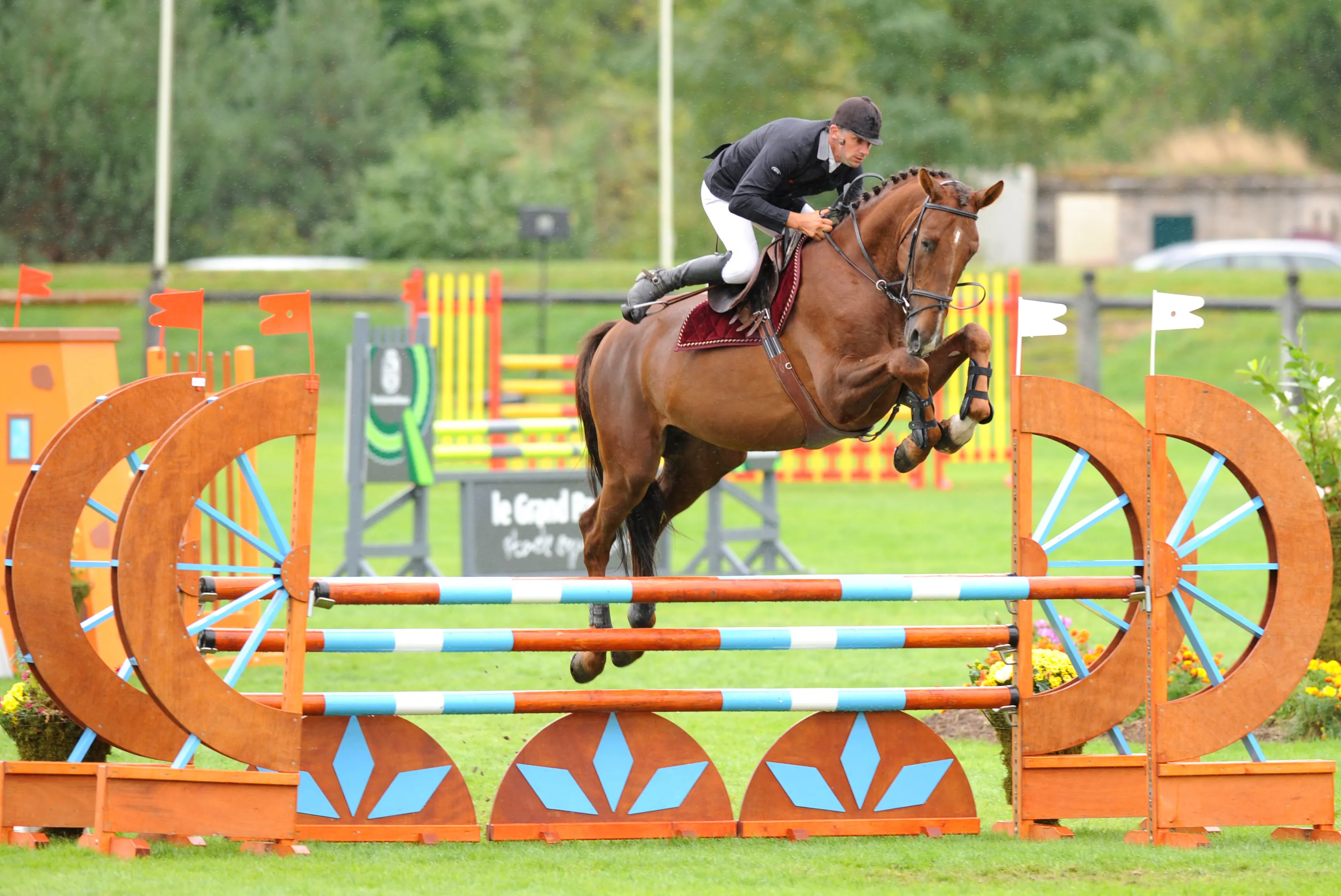 Ici à quatre ans lors de la grande semaine de l'élevage, Quartz Rouge a gravi tous les échelons avec Jérome Hurel.